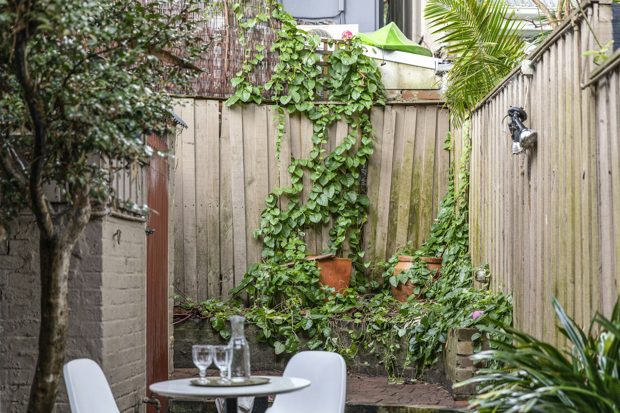 backyard