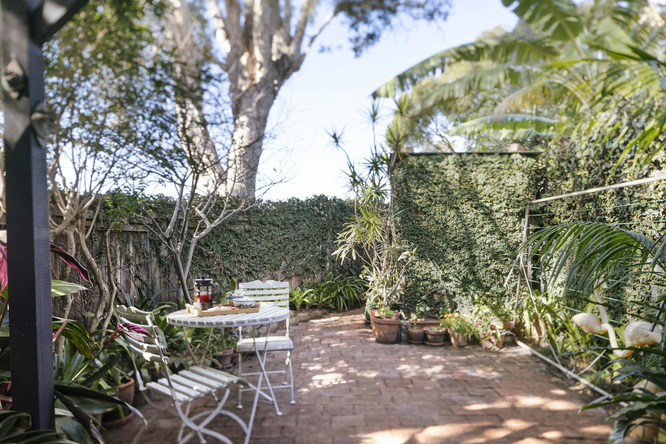 garden