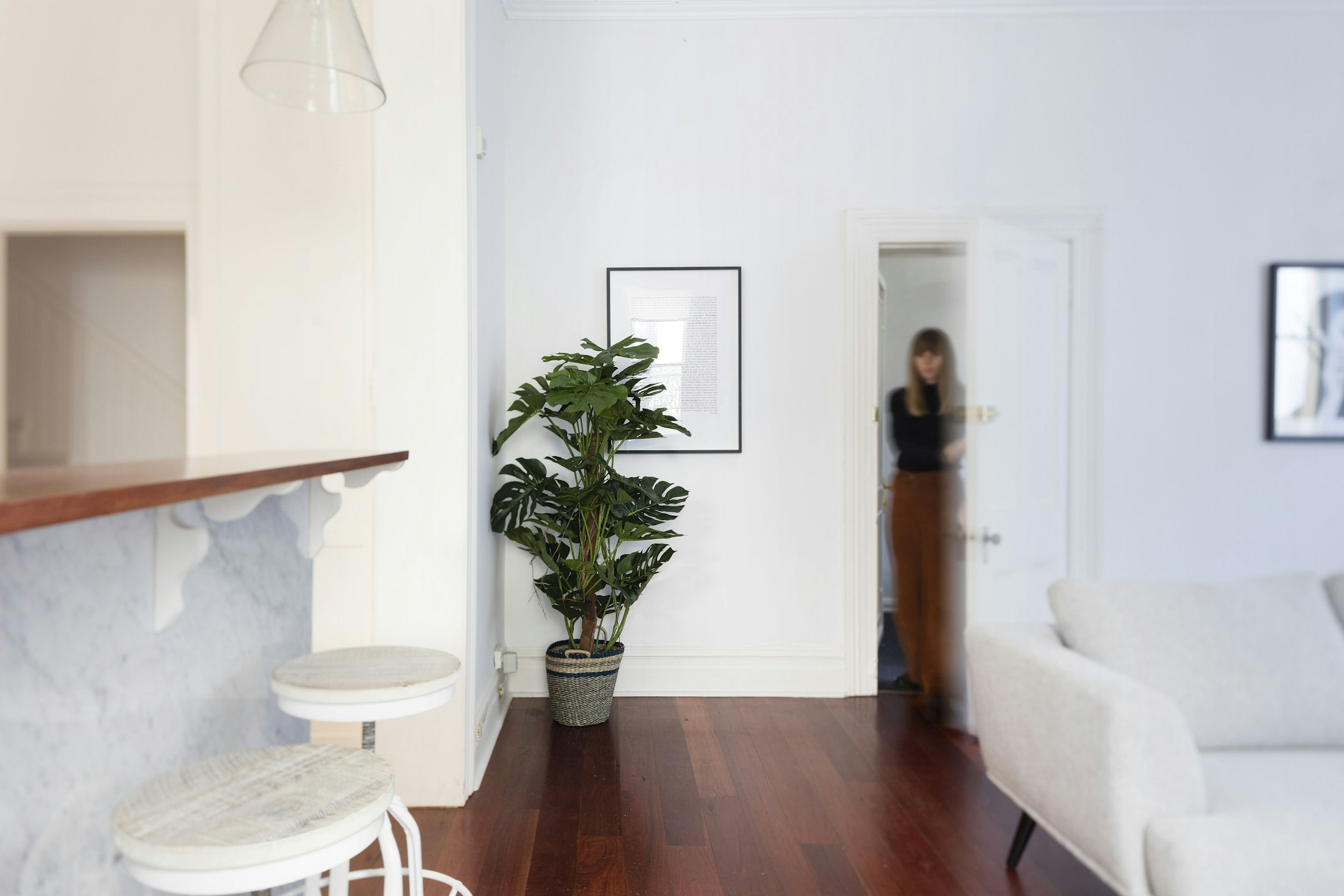 plant