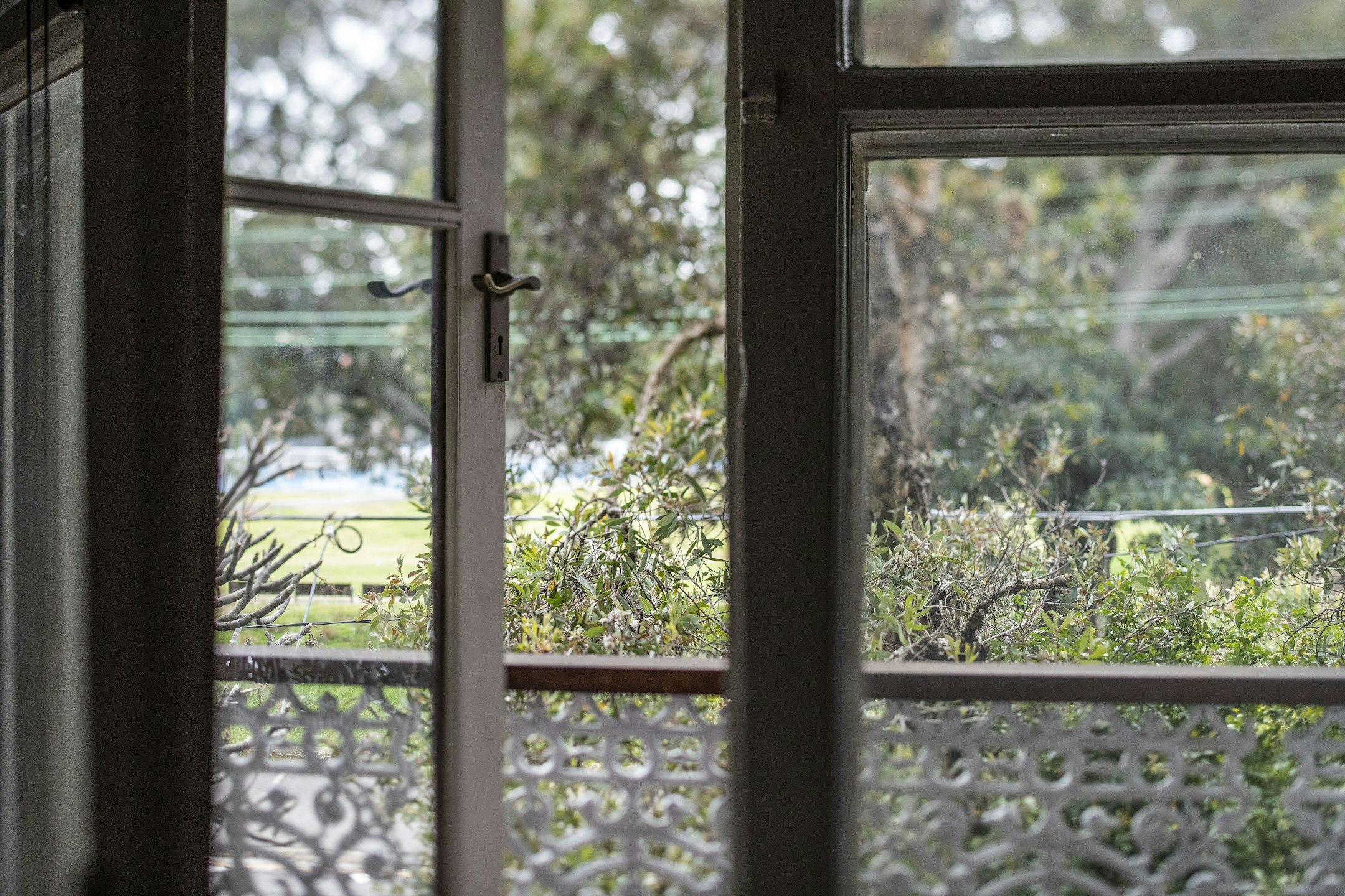 window