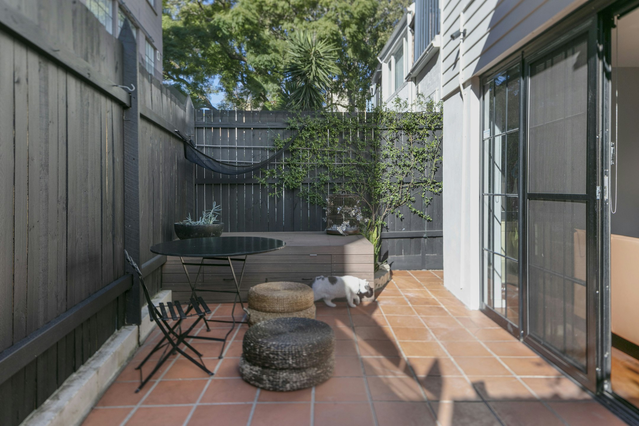 backyard