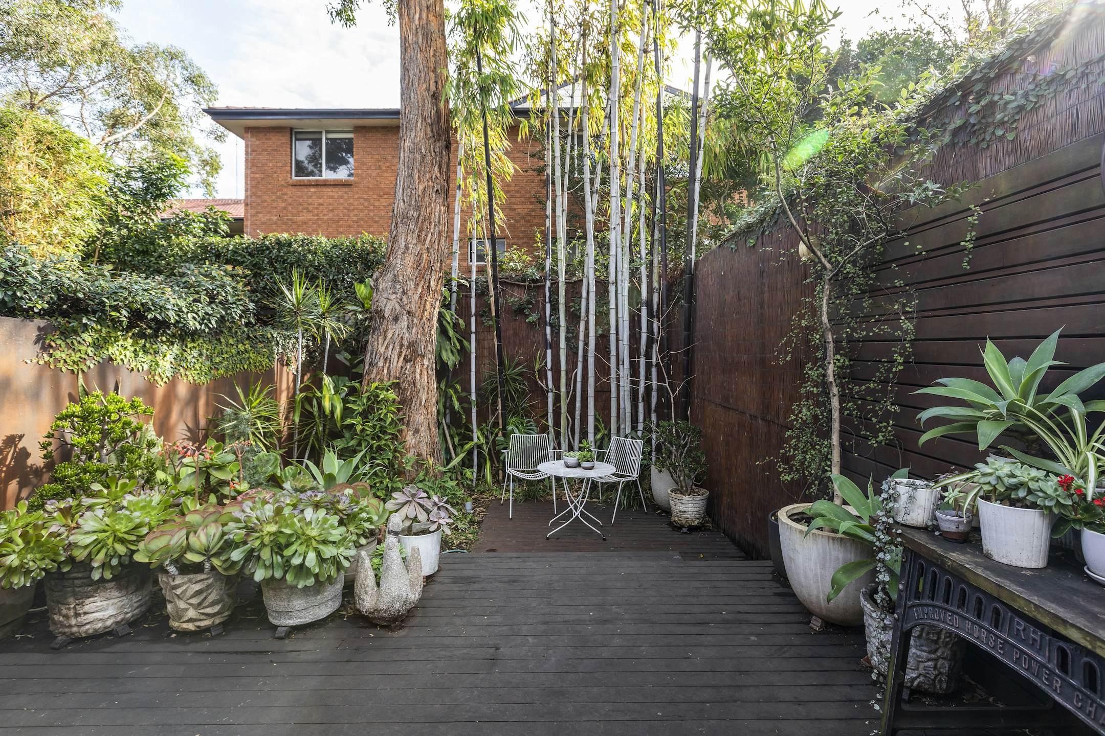 garden