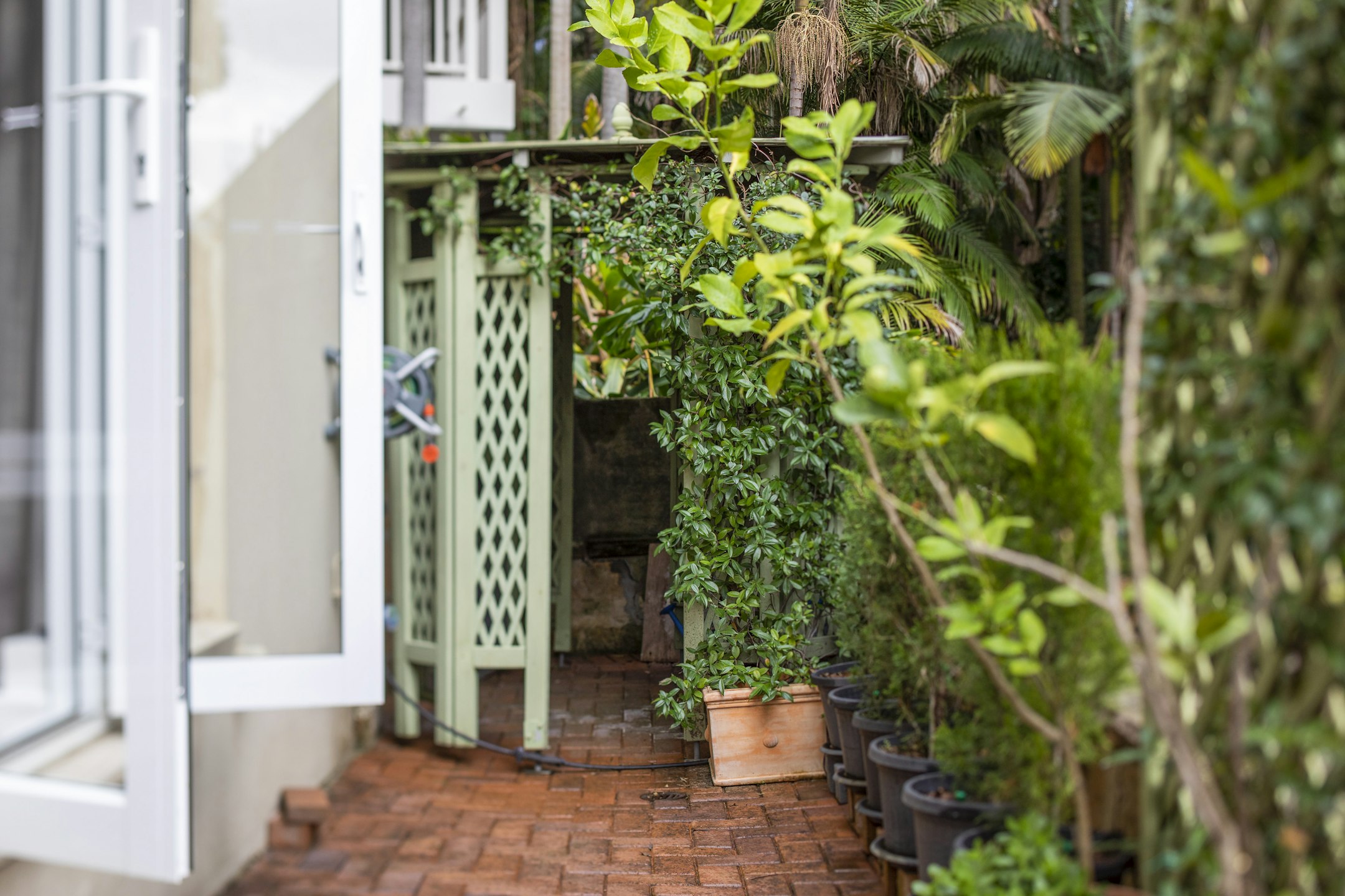 garden