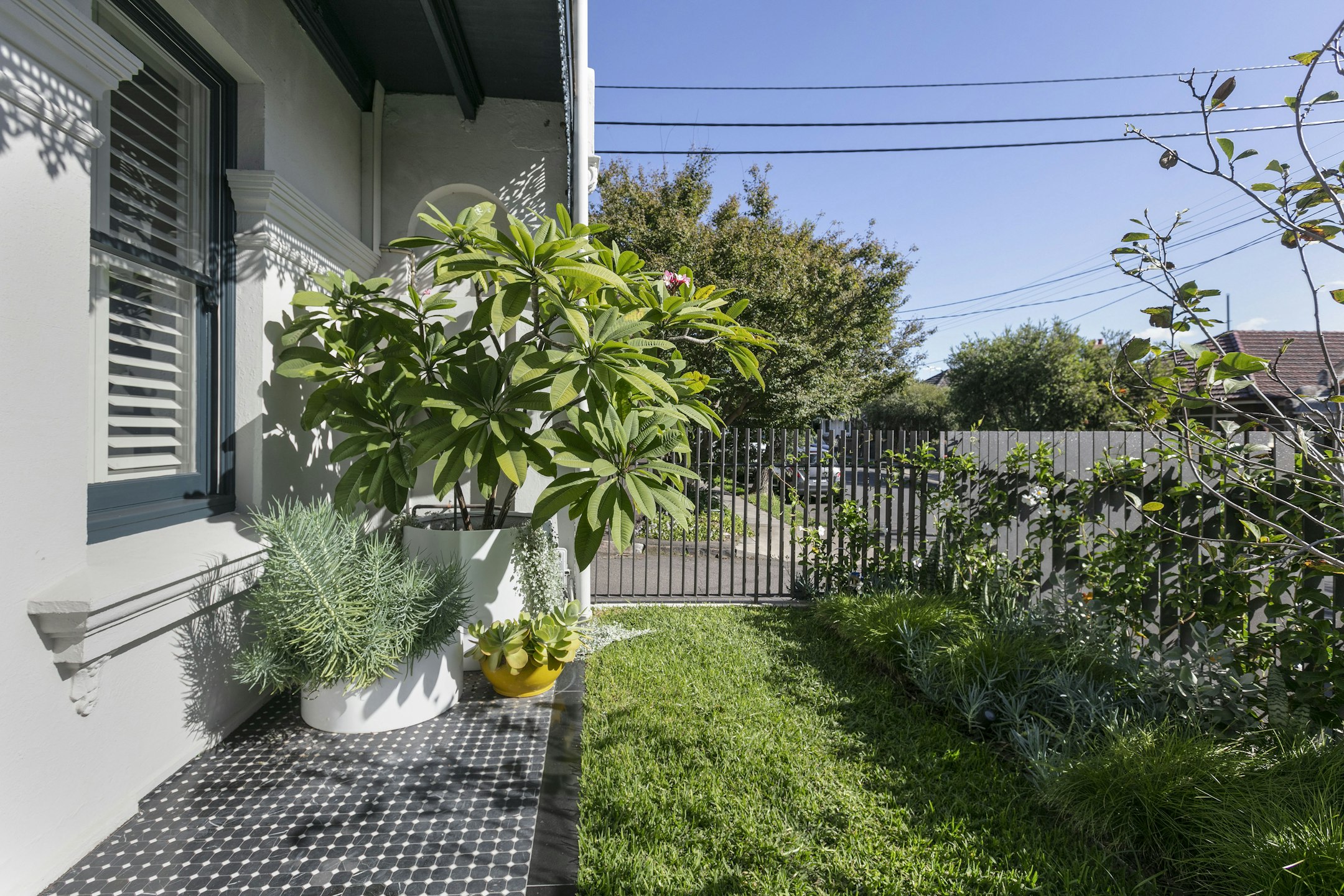 garden