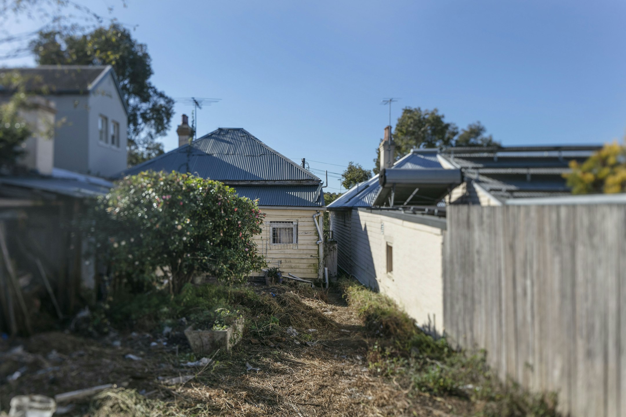 neighborhood
