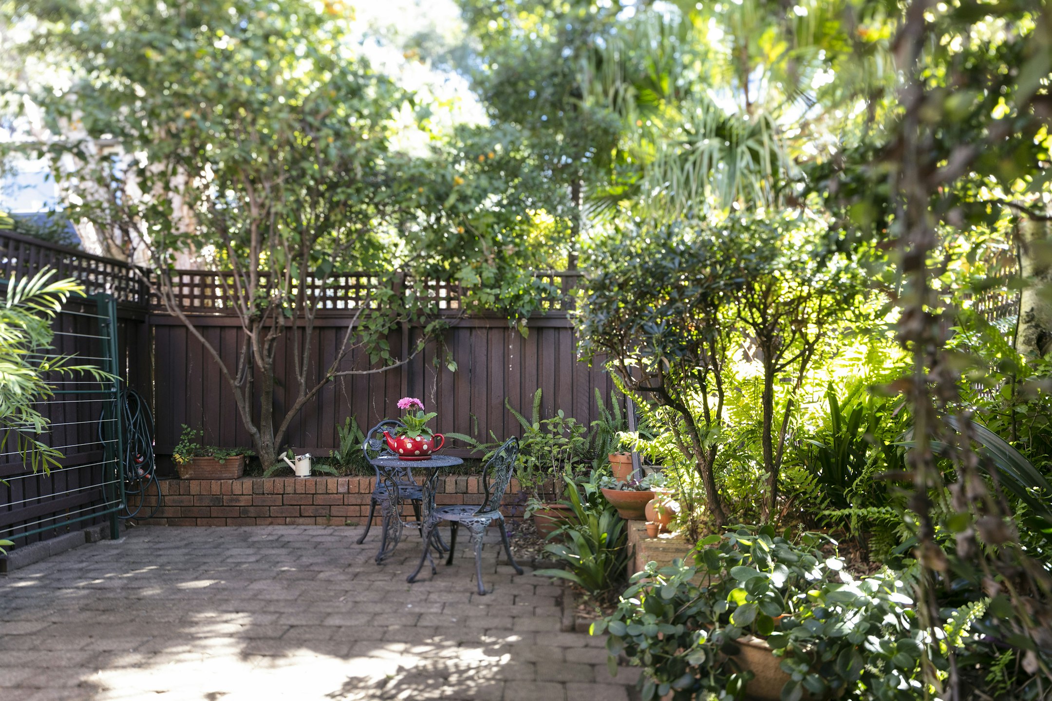 garden