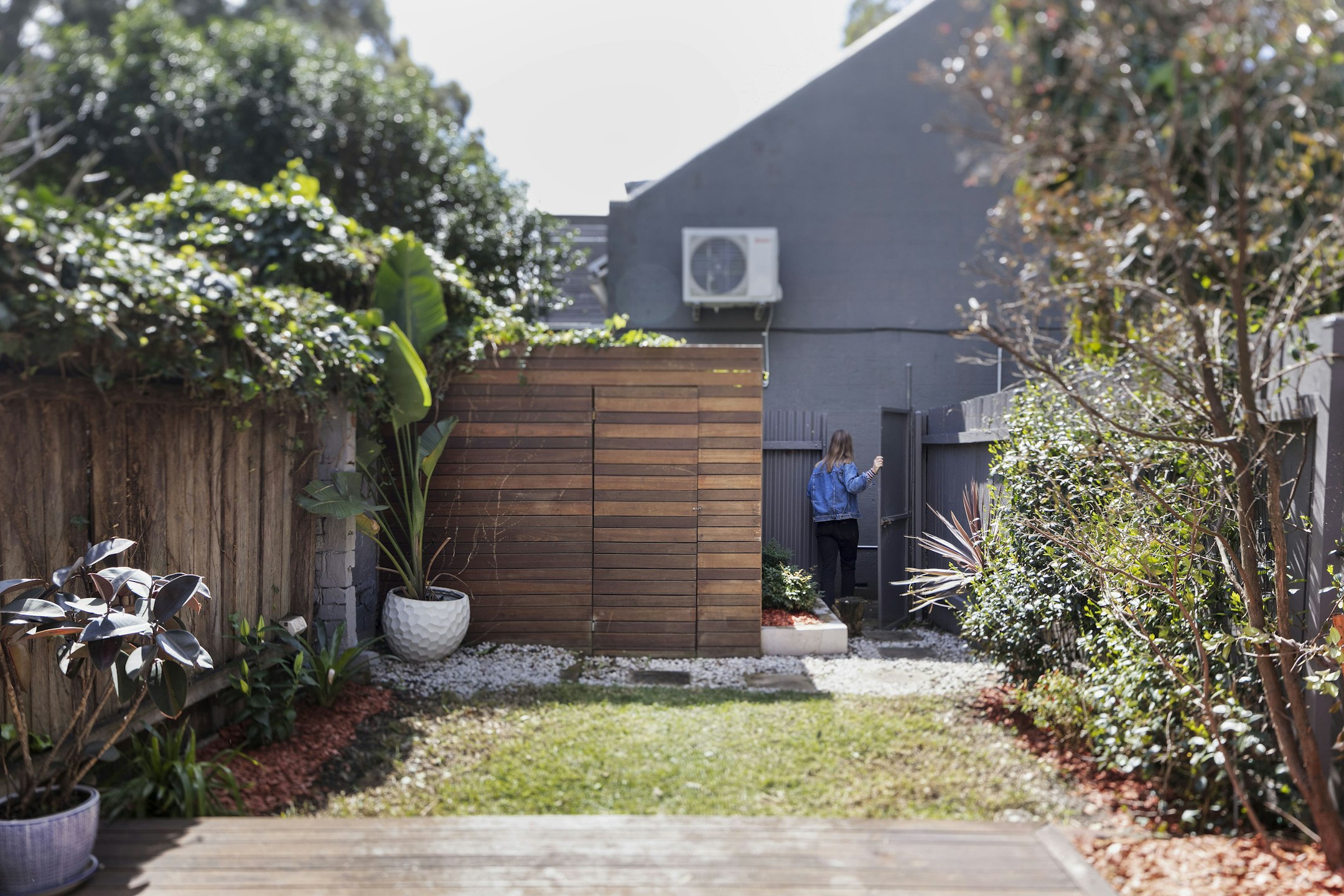 backyard