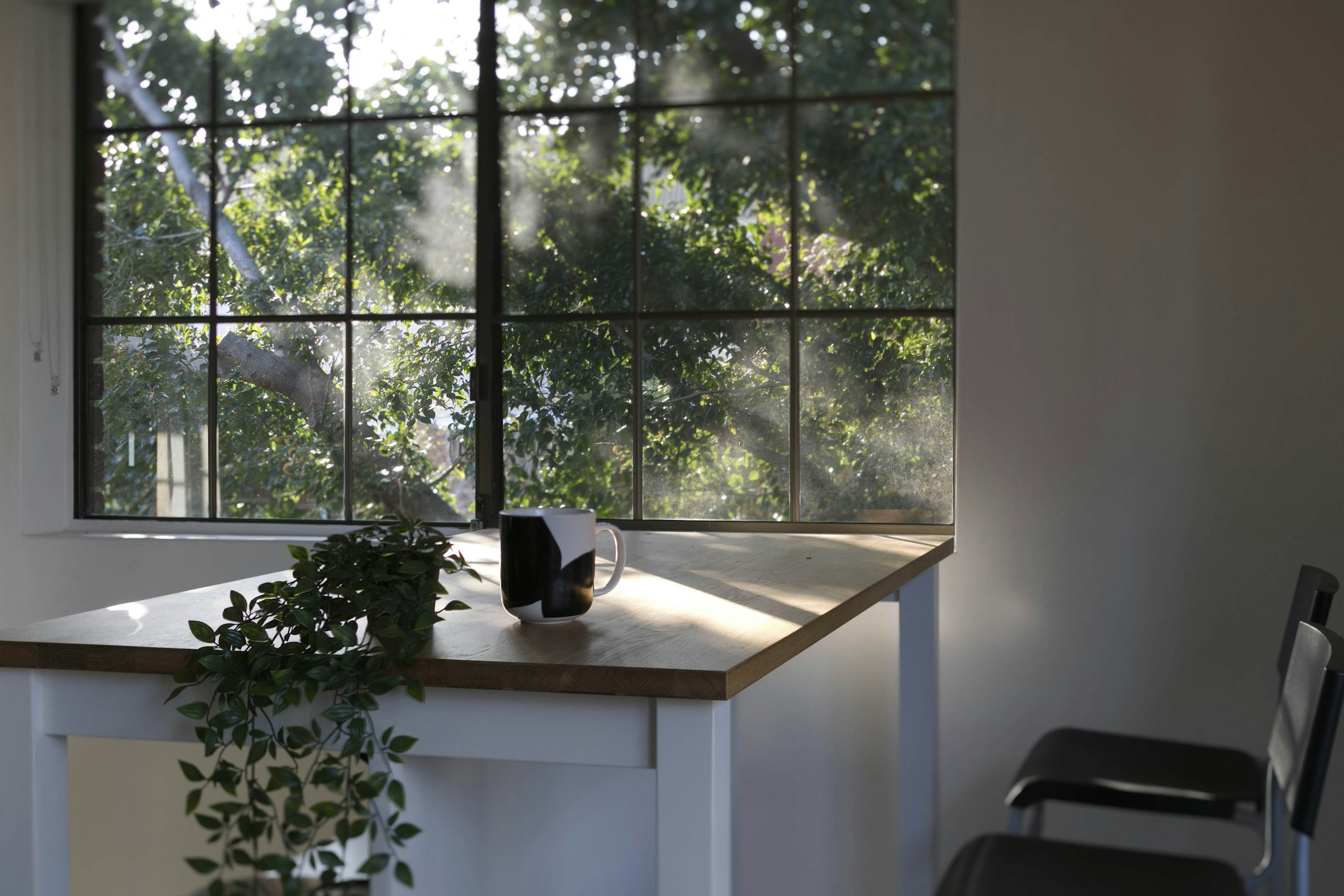 window