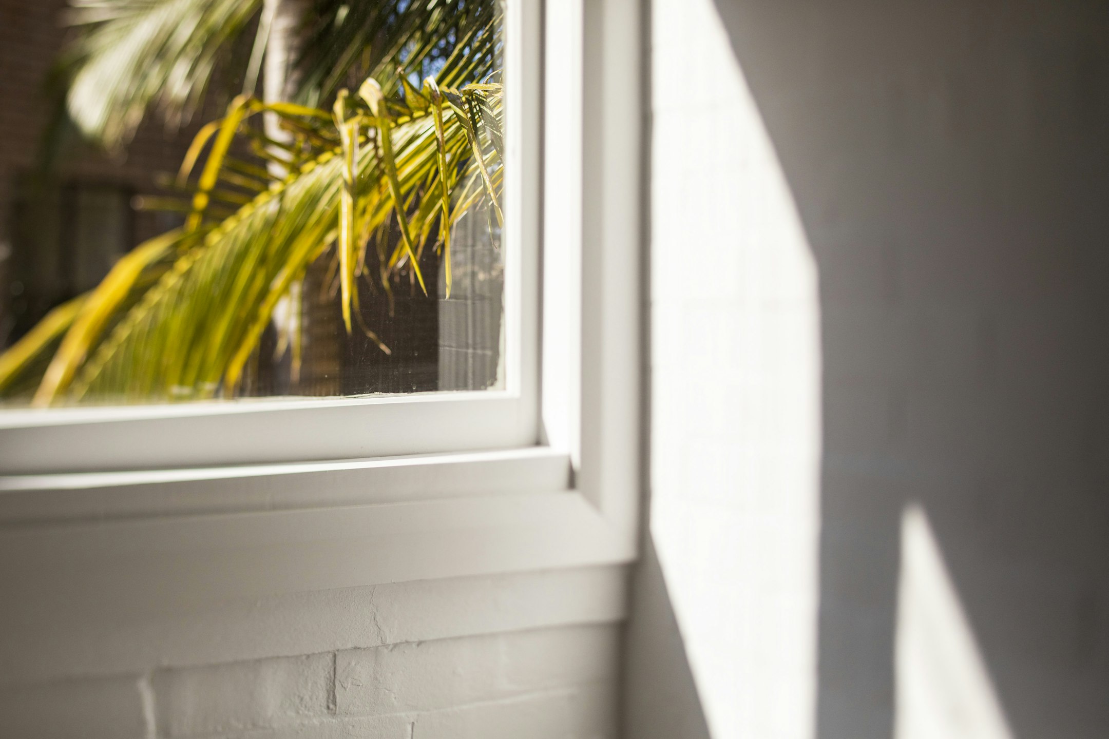 window