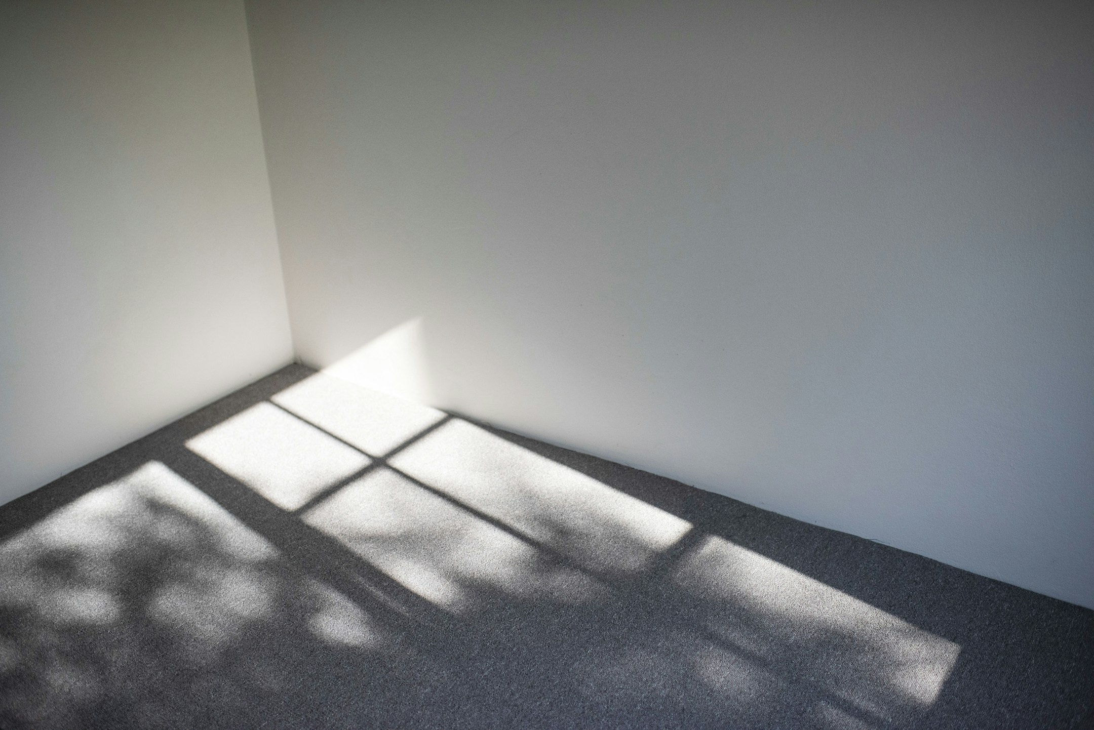 floor