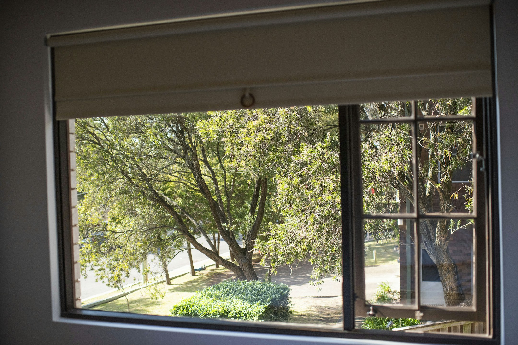 window