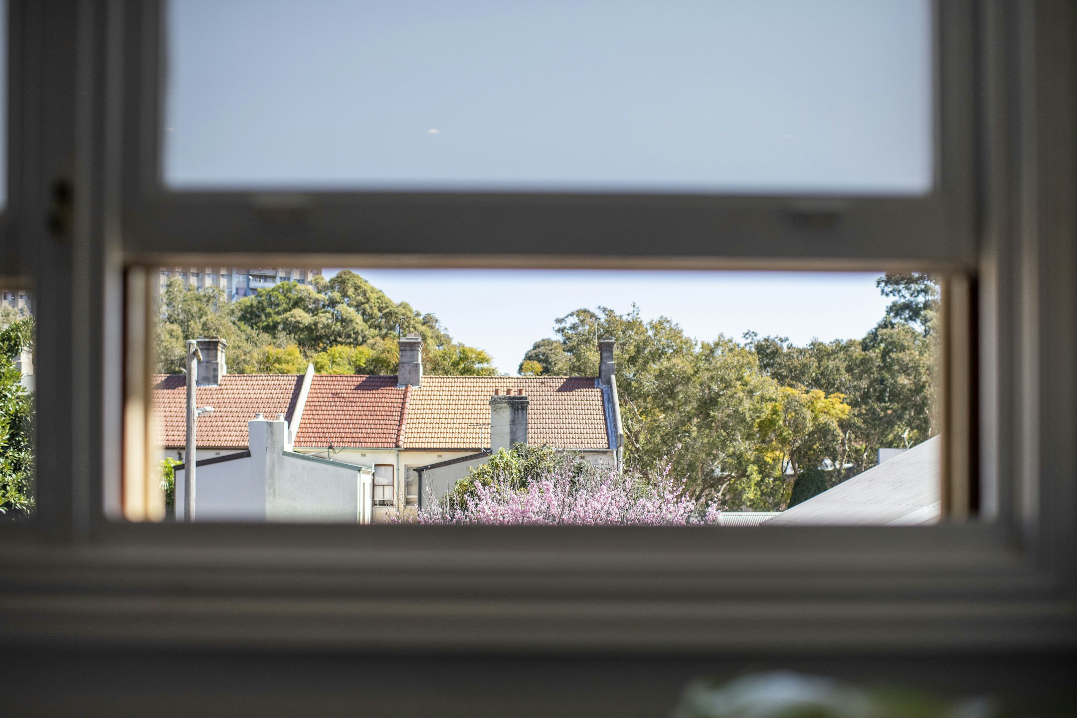 window