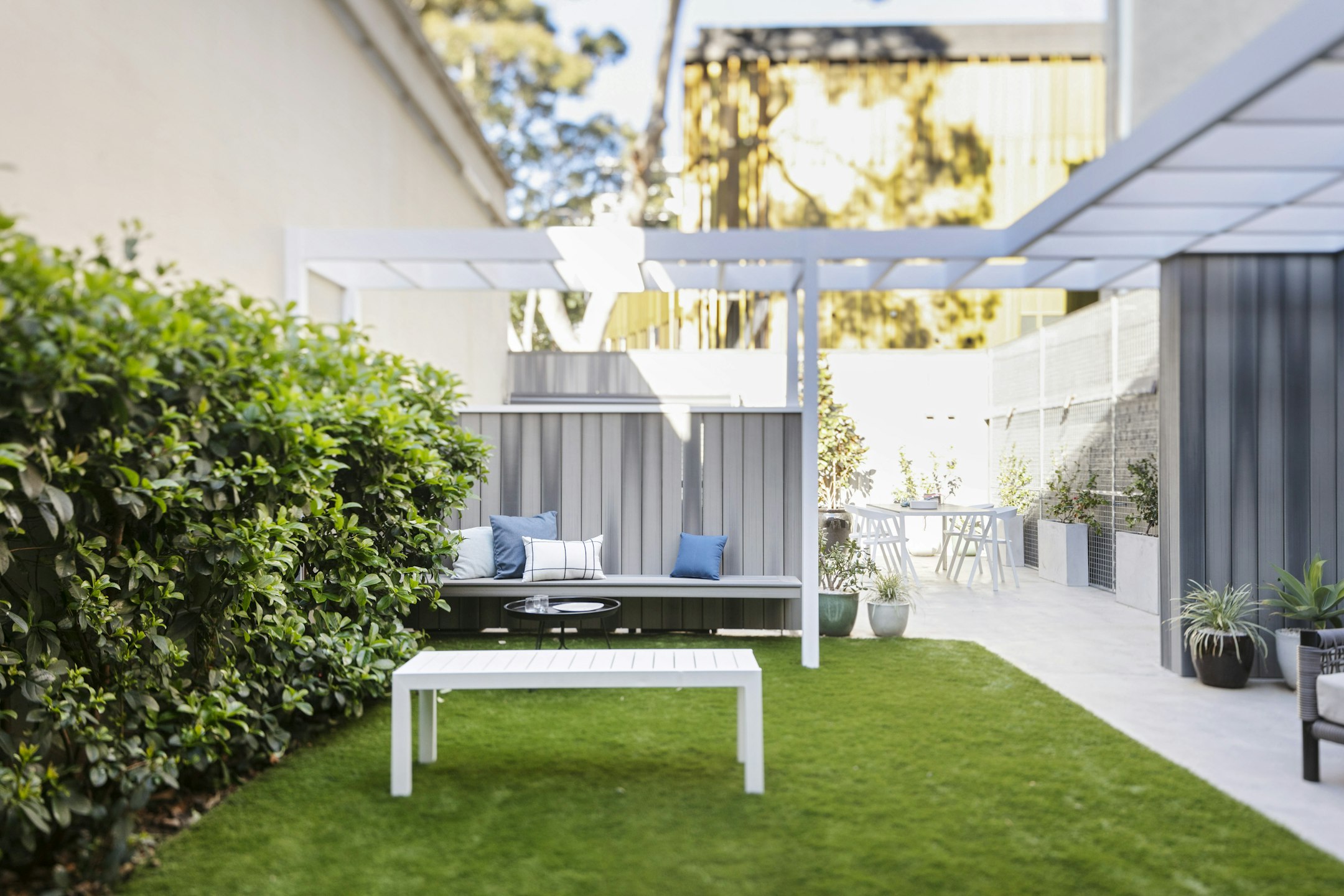 backyard