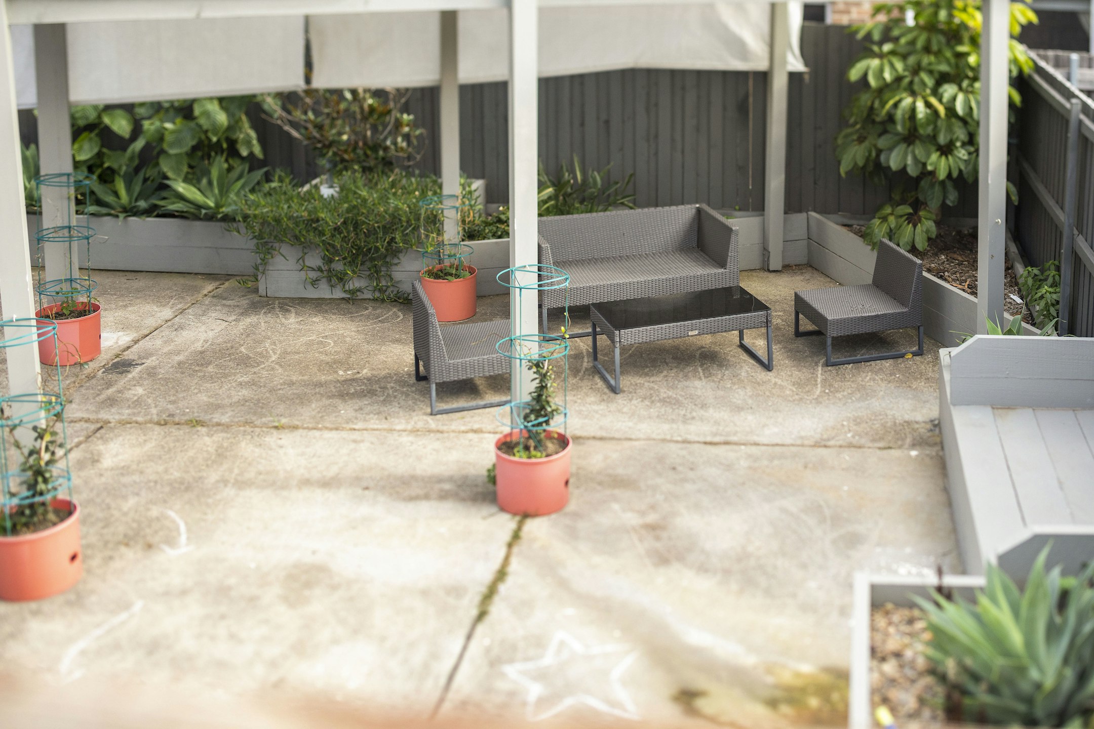 backyard