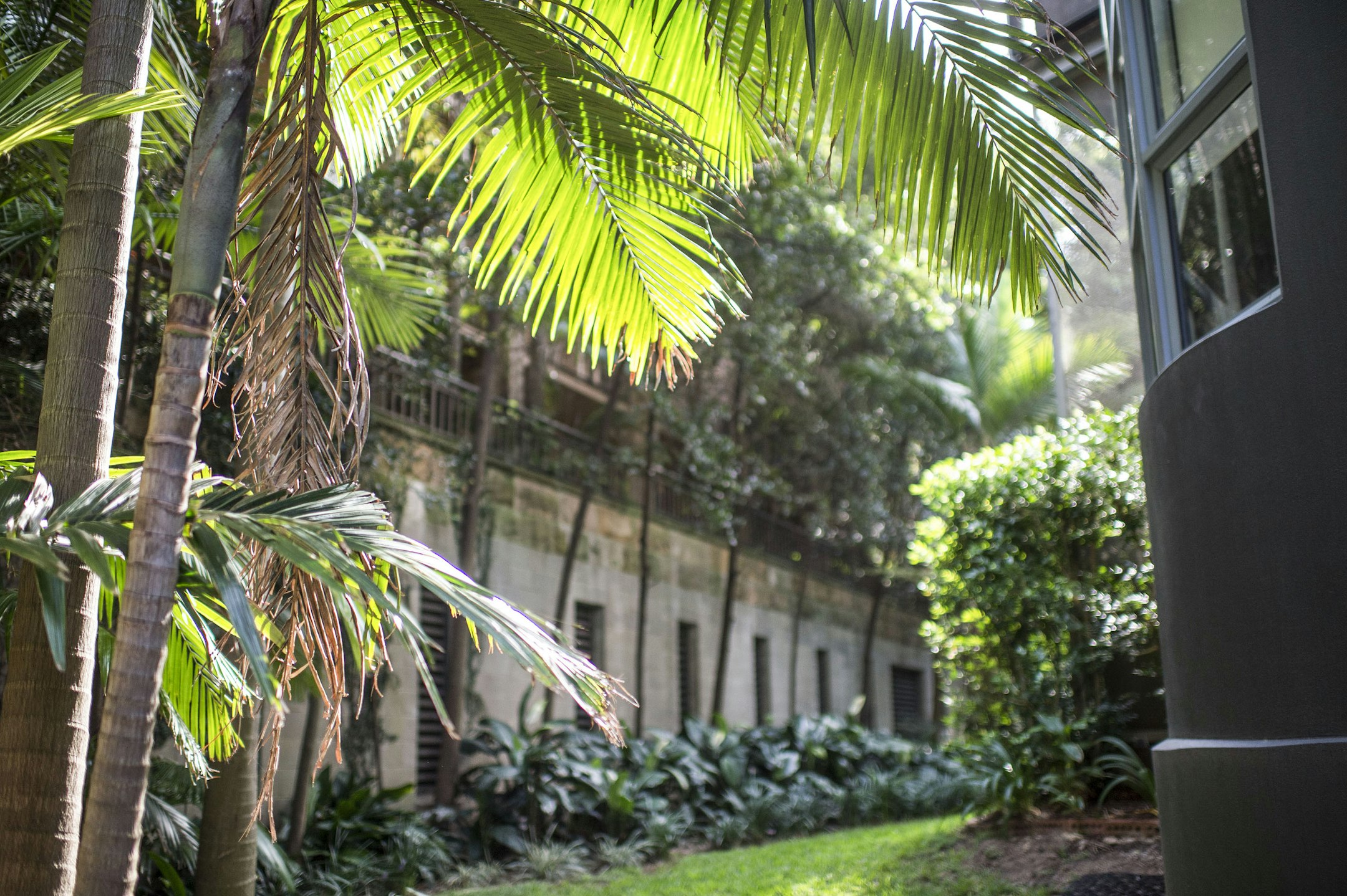 garden