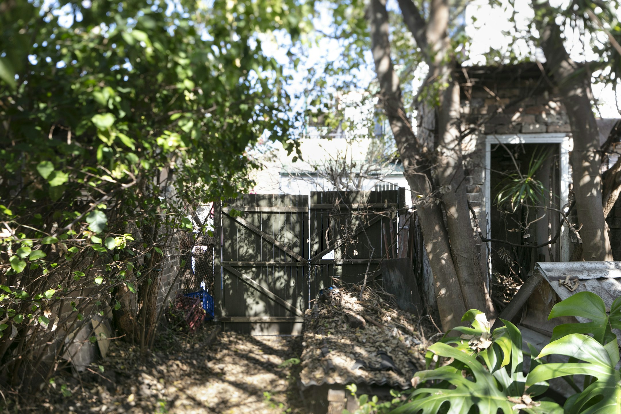 garden