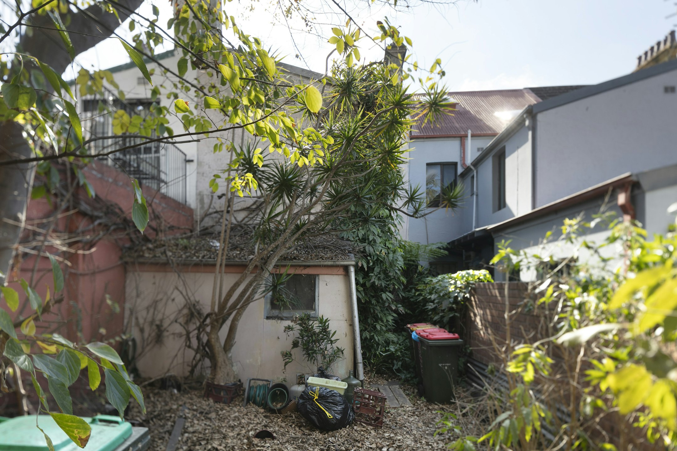 garden