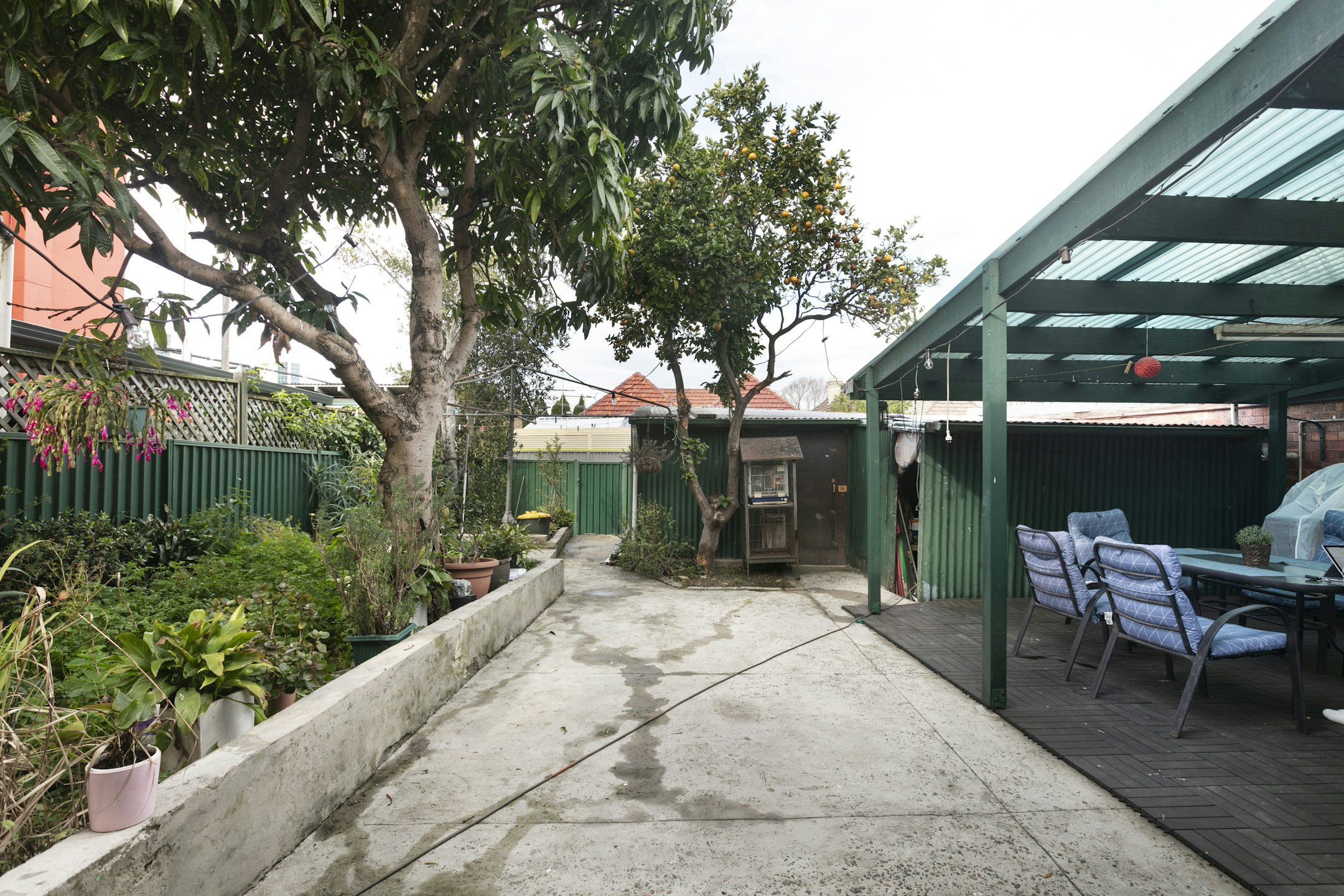 garden