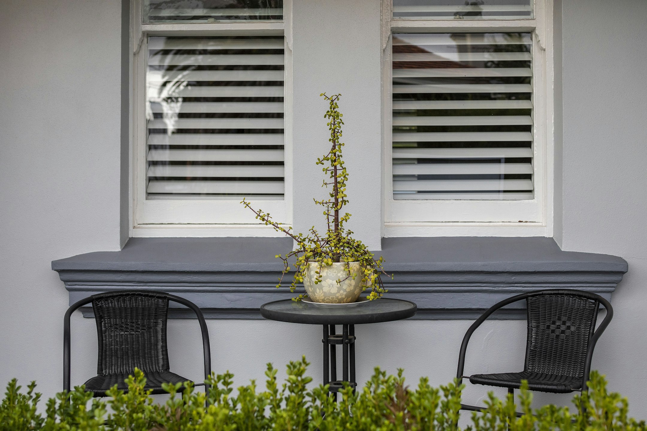 window