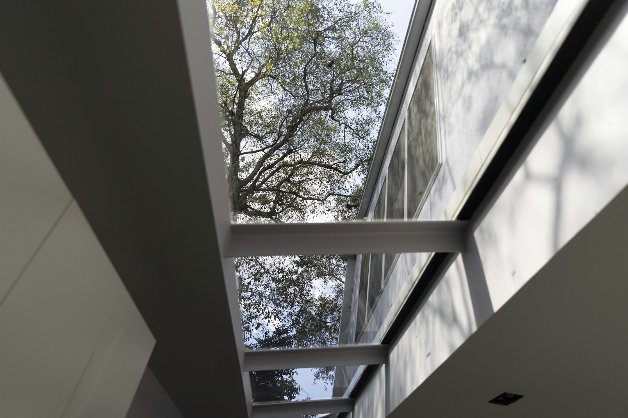architecture