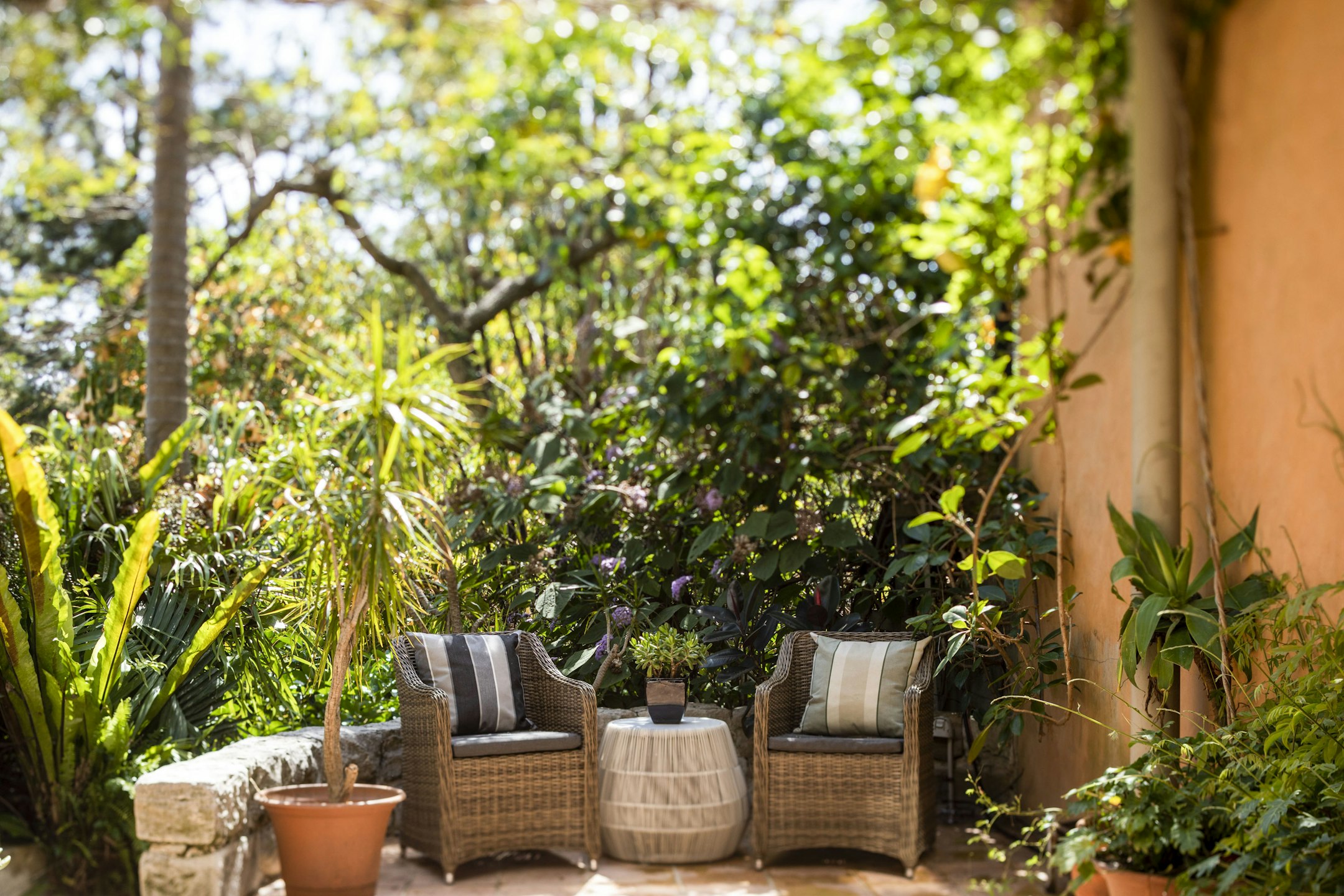 garden