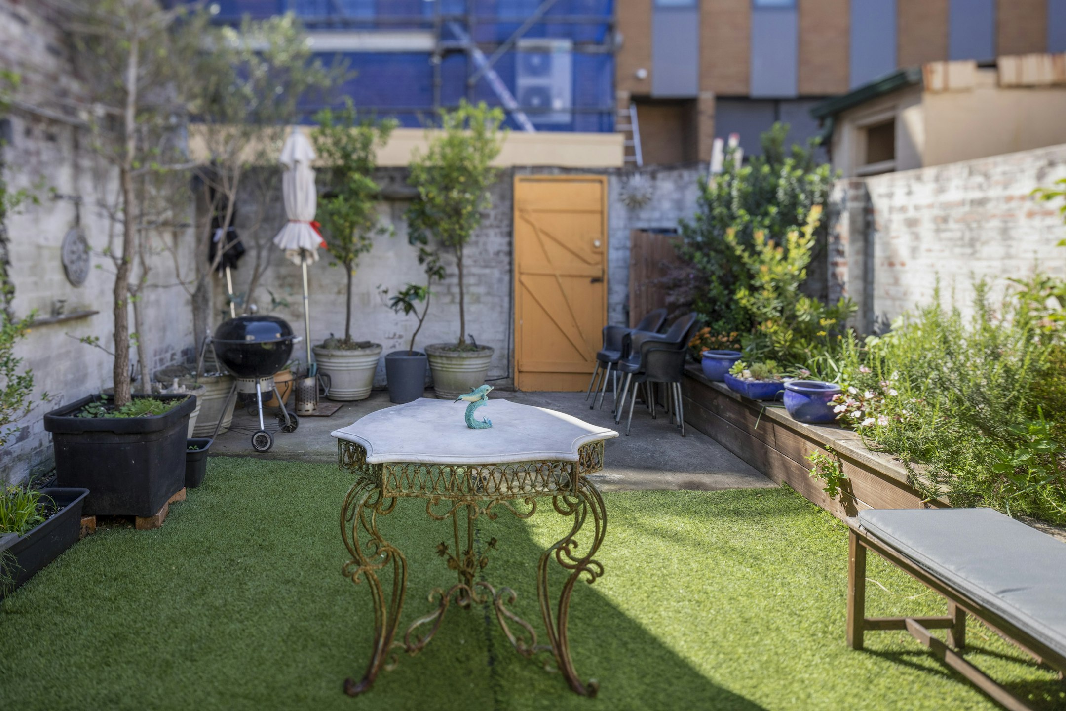 backyard