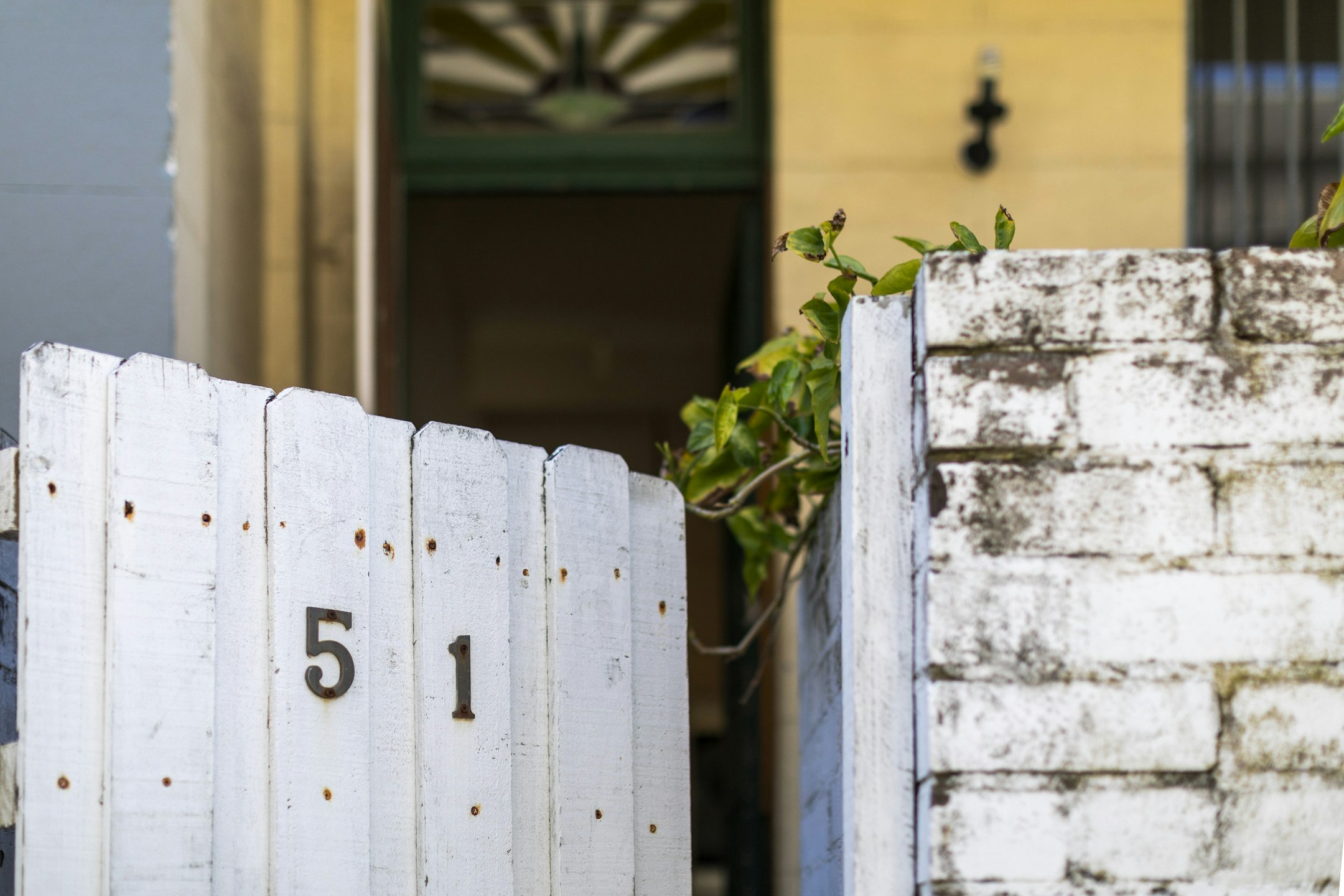 fence