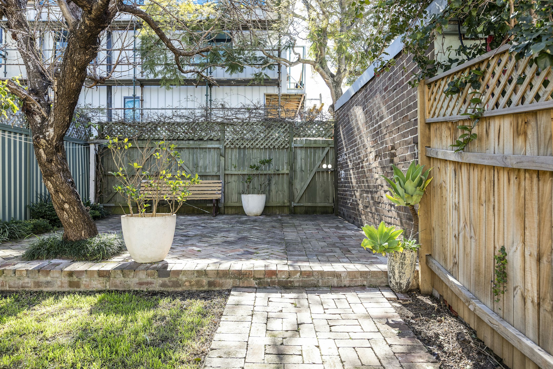 backyard