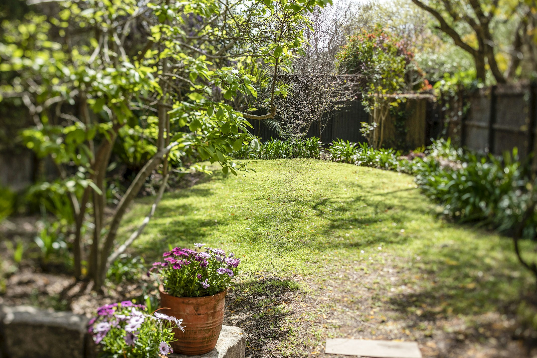 garden