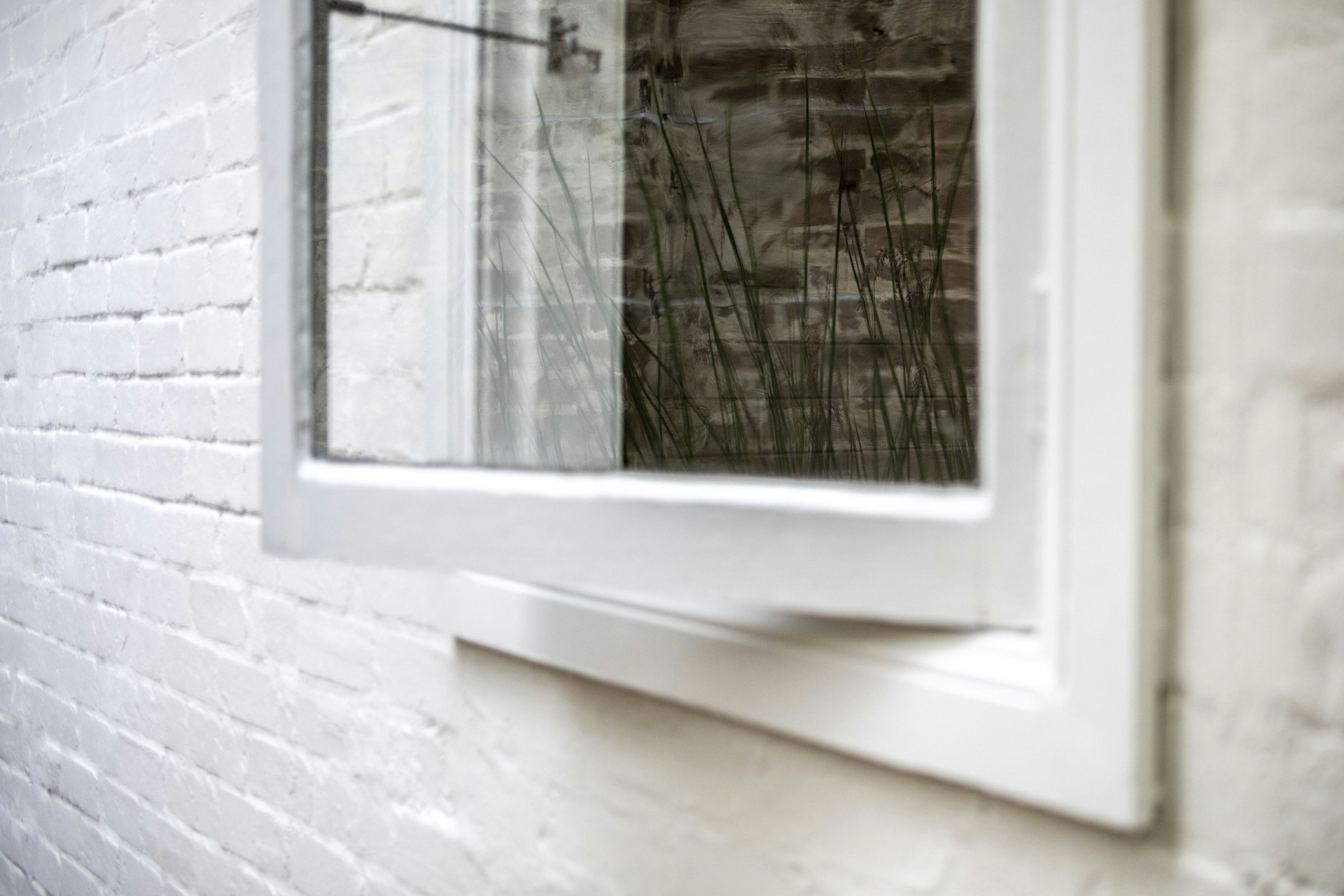 window