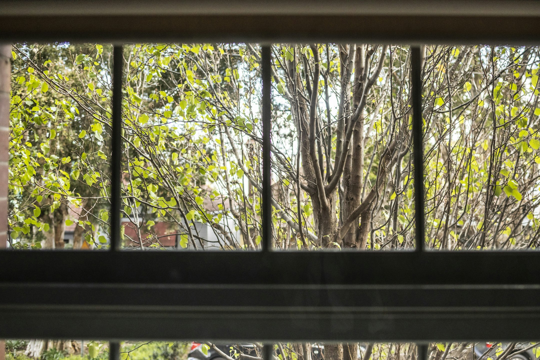 picture window