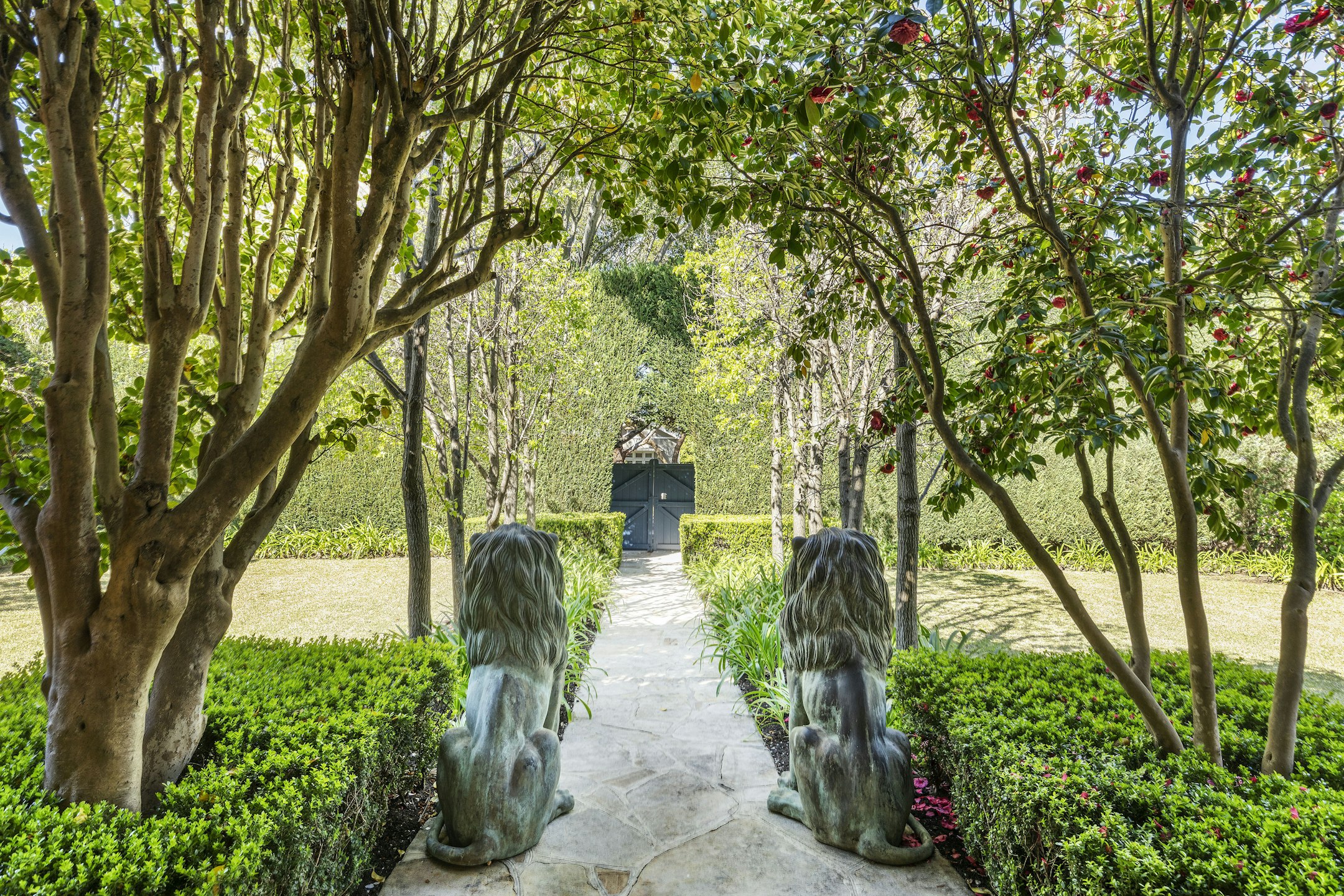 garden