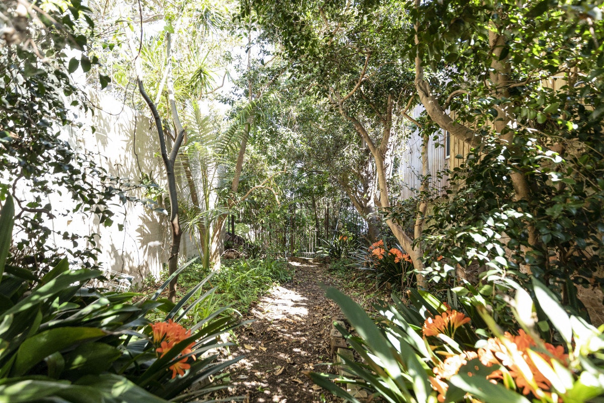 garden