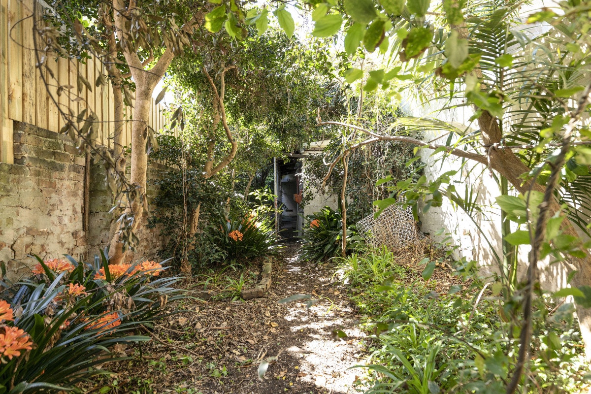 garden
