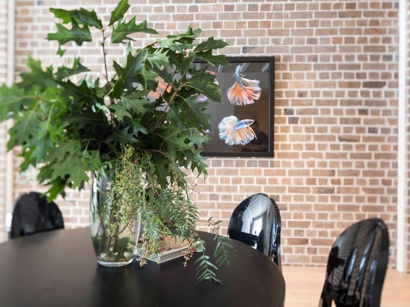 plant