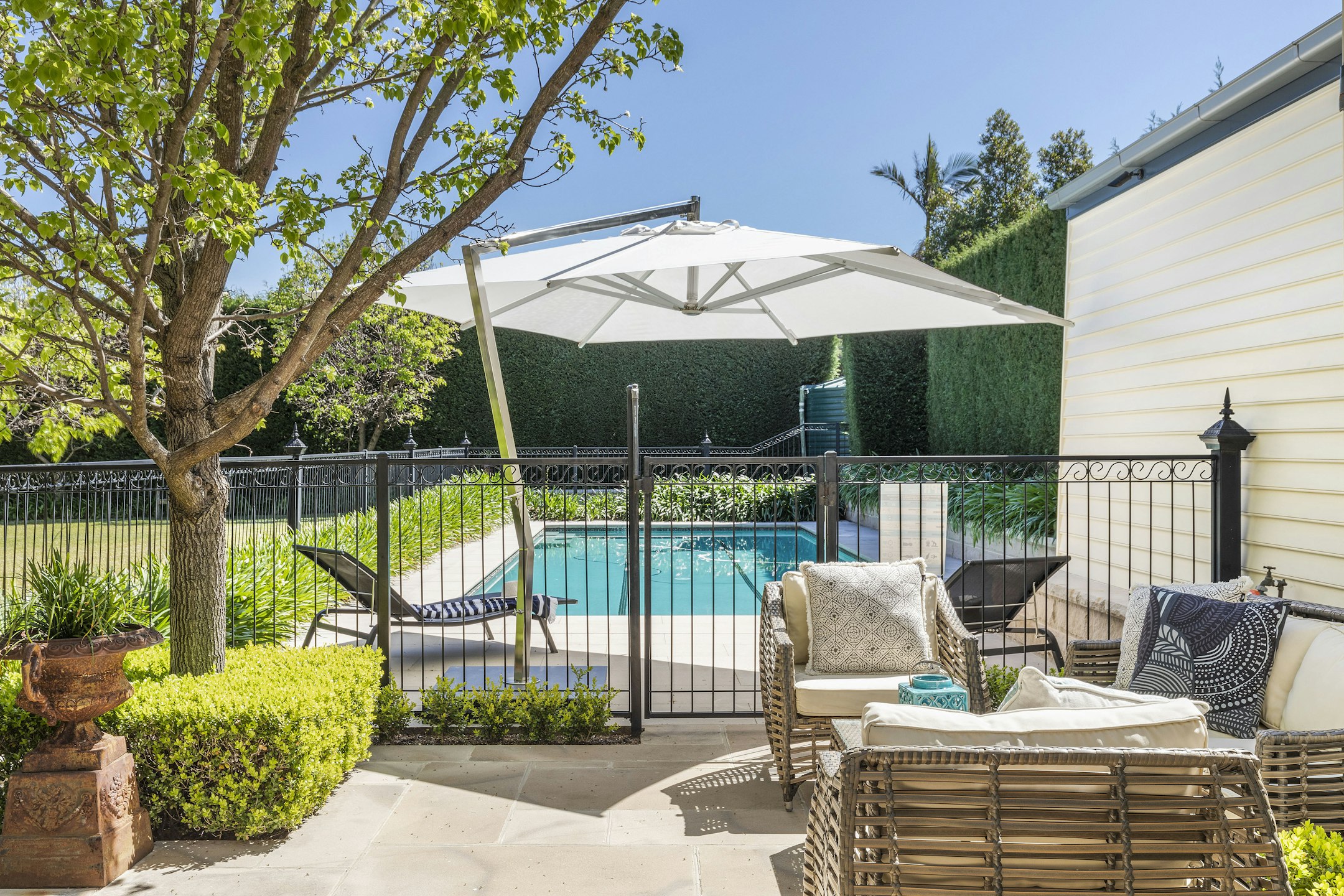 backyard
