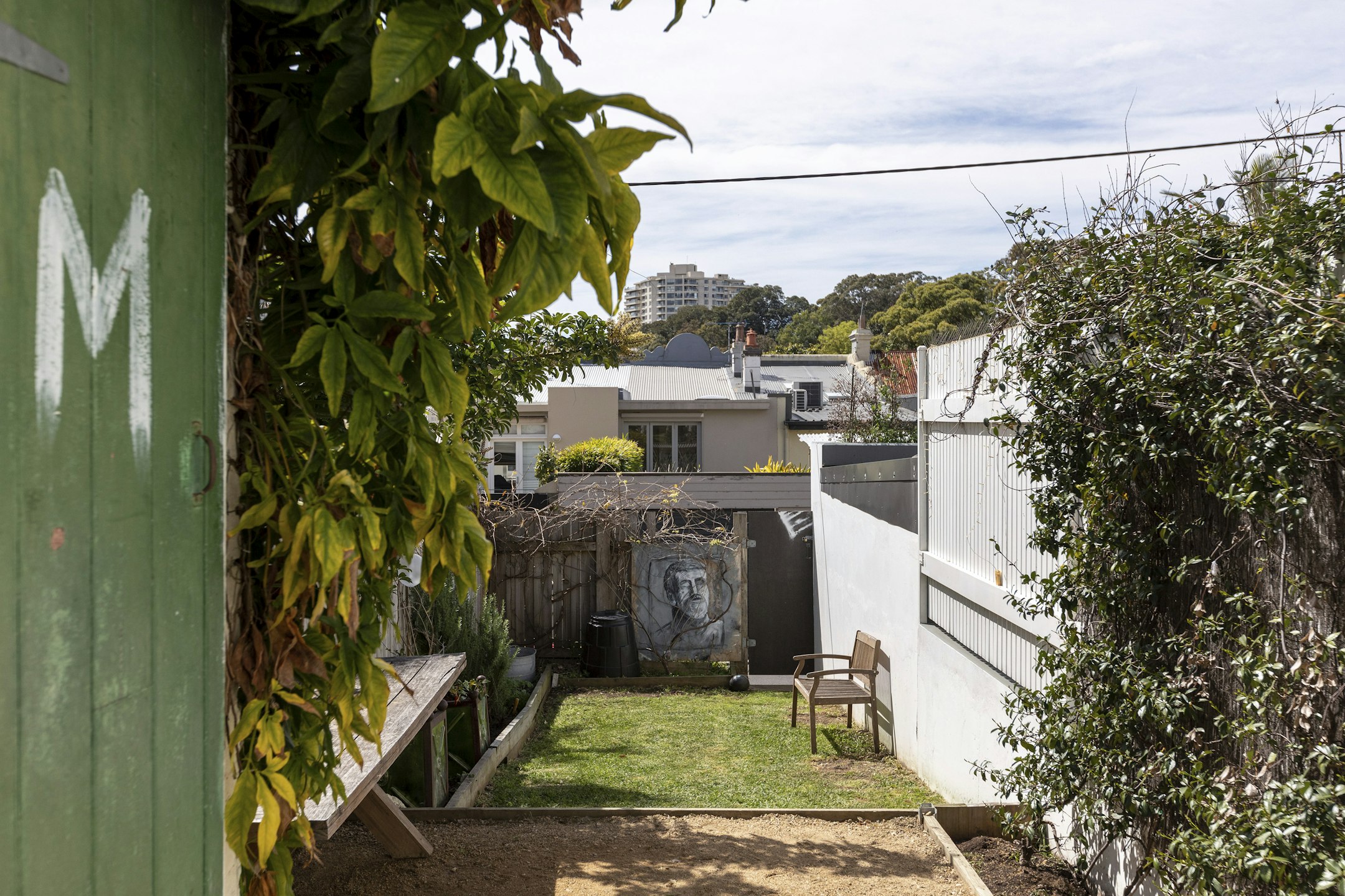 backyard