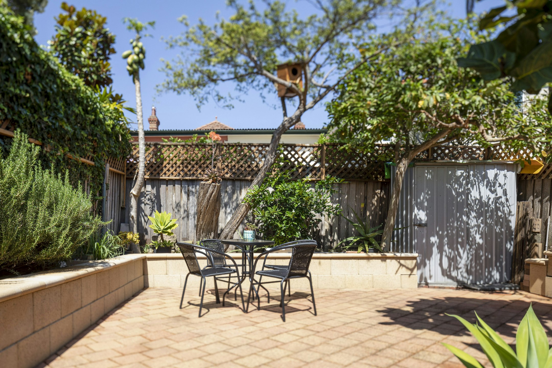 backyard