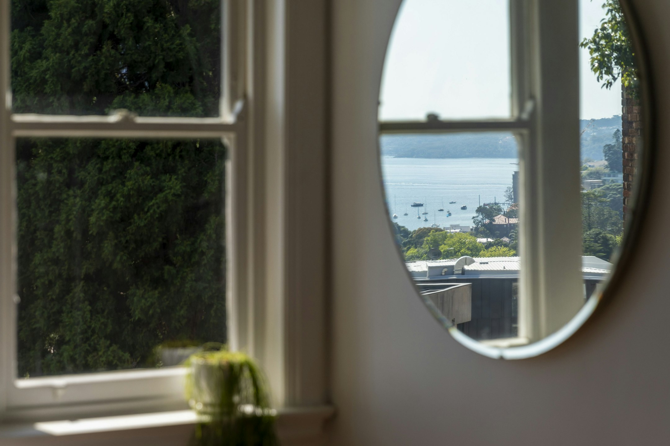 window