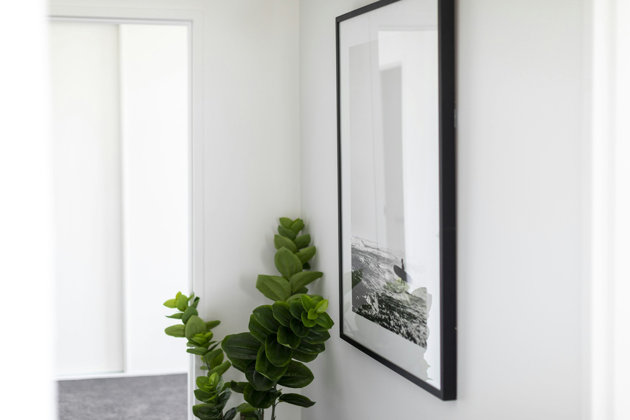 plant