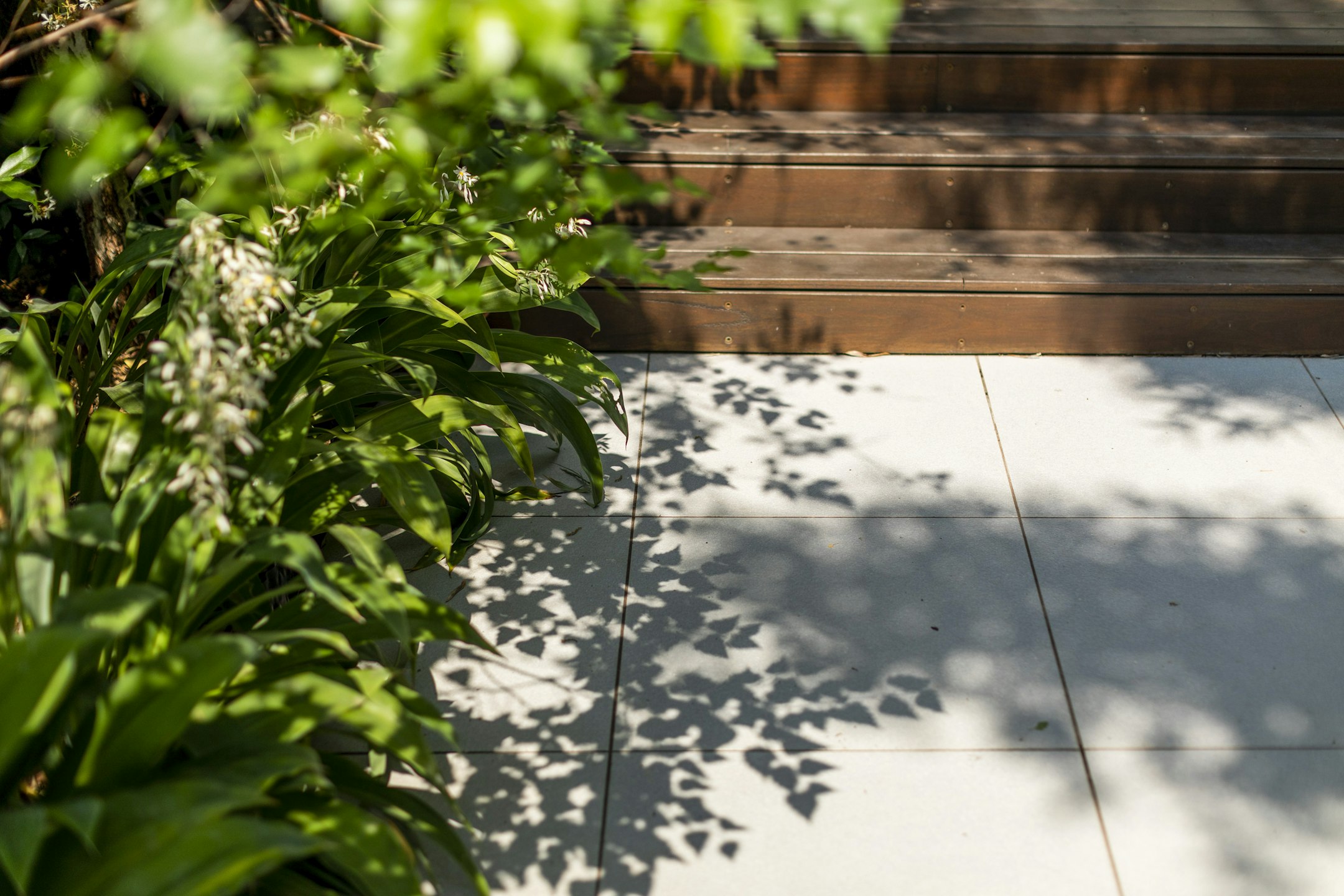 path