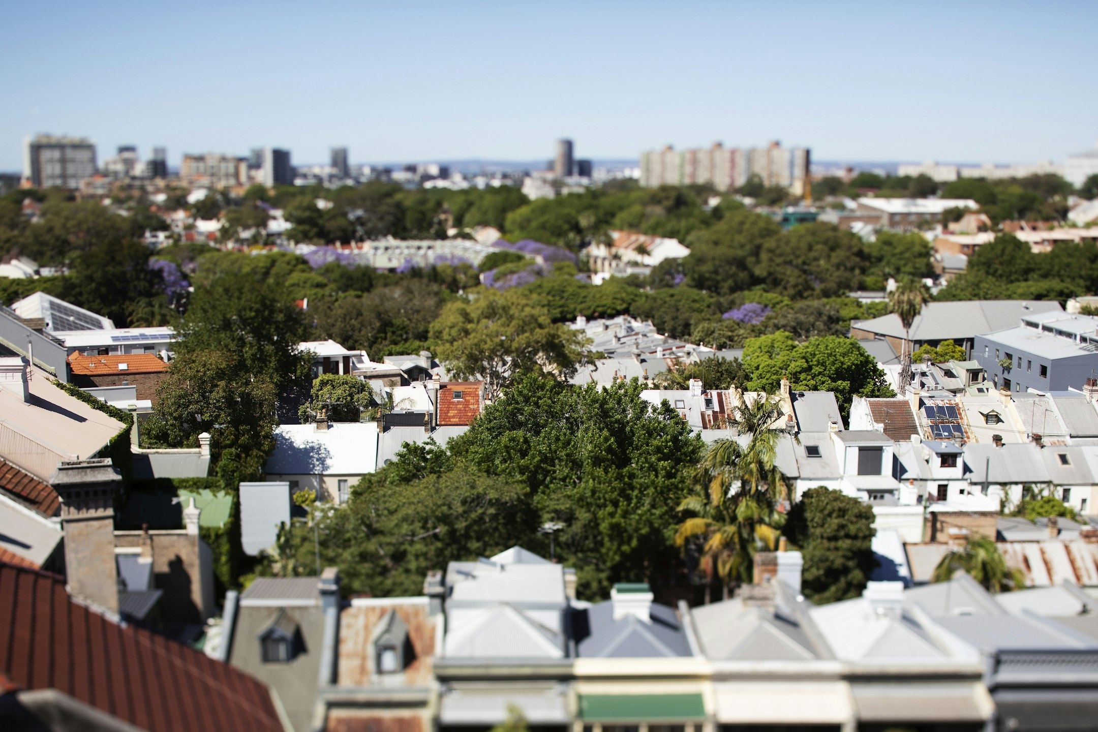 neighborhood