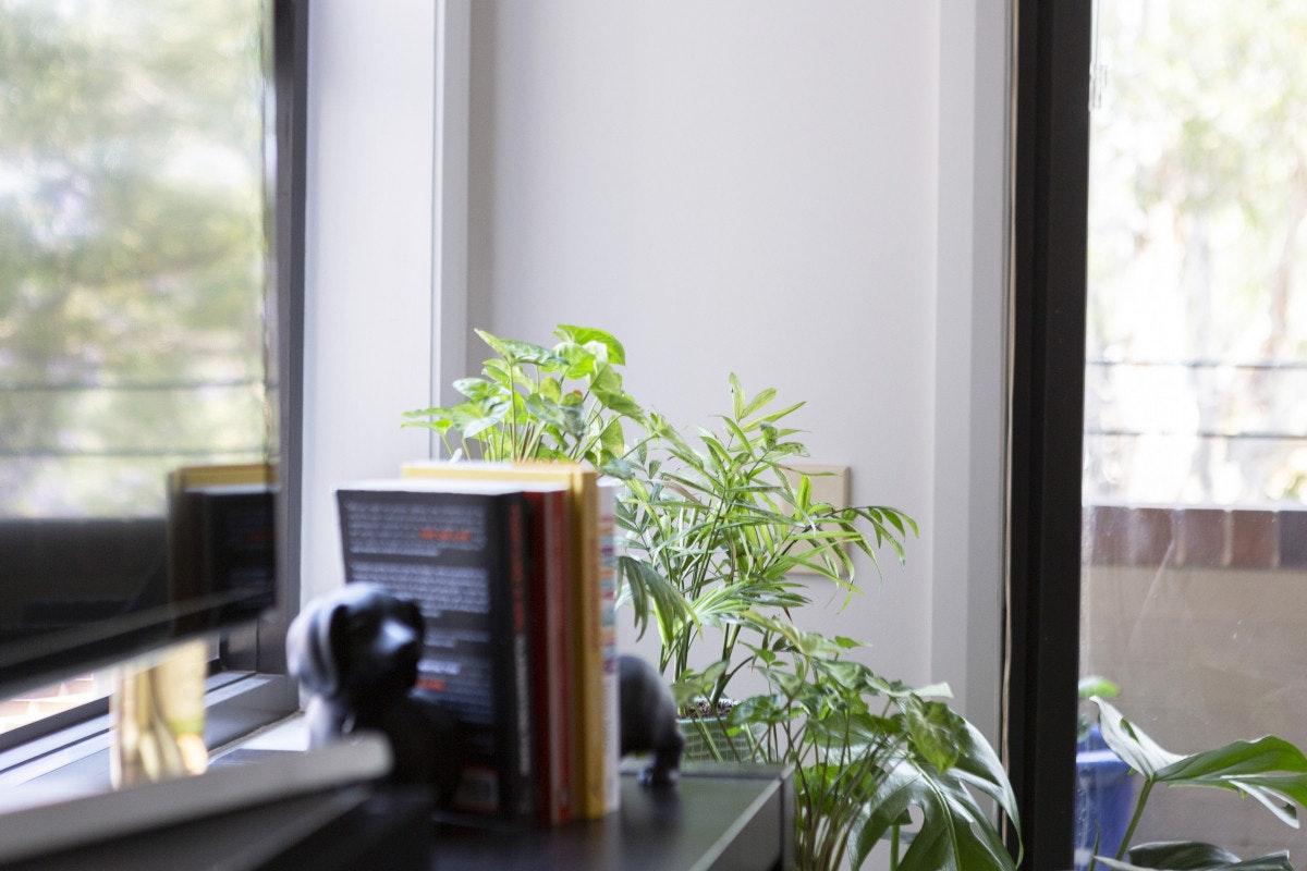 window