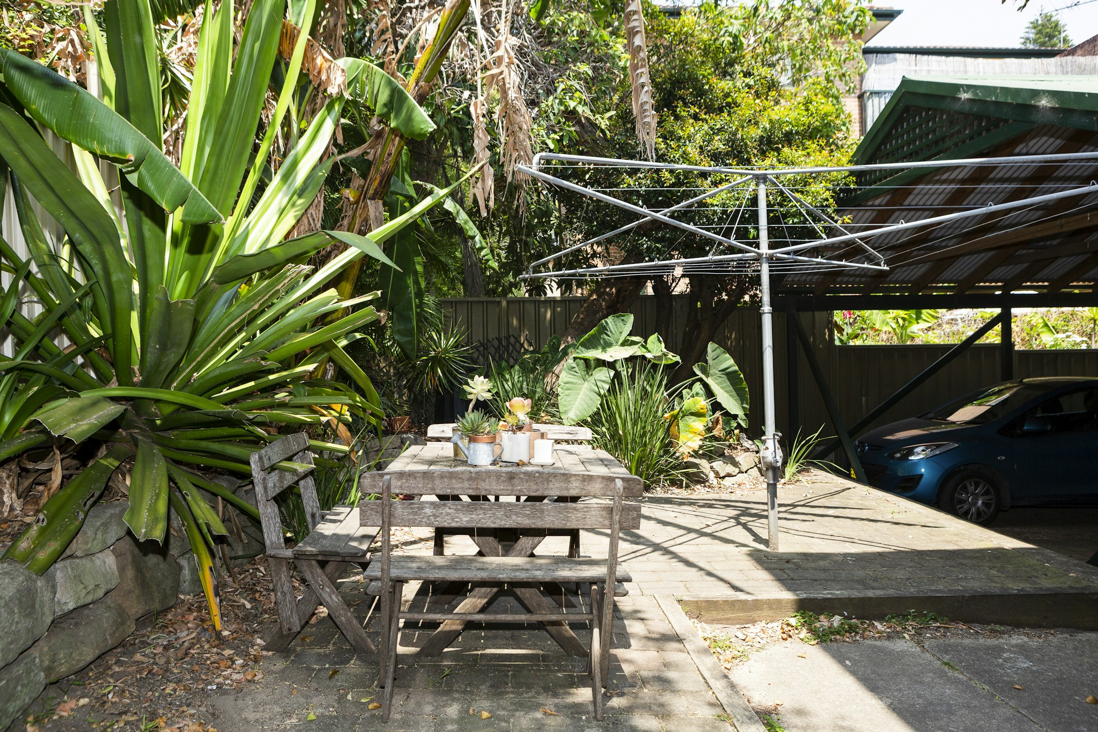 garden