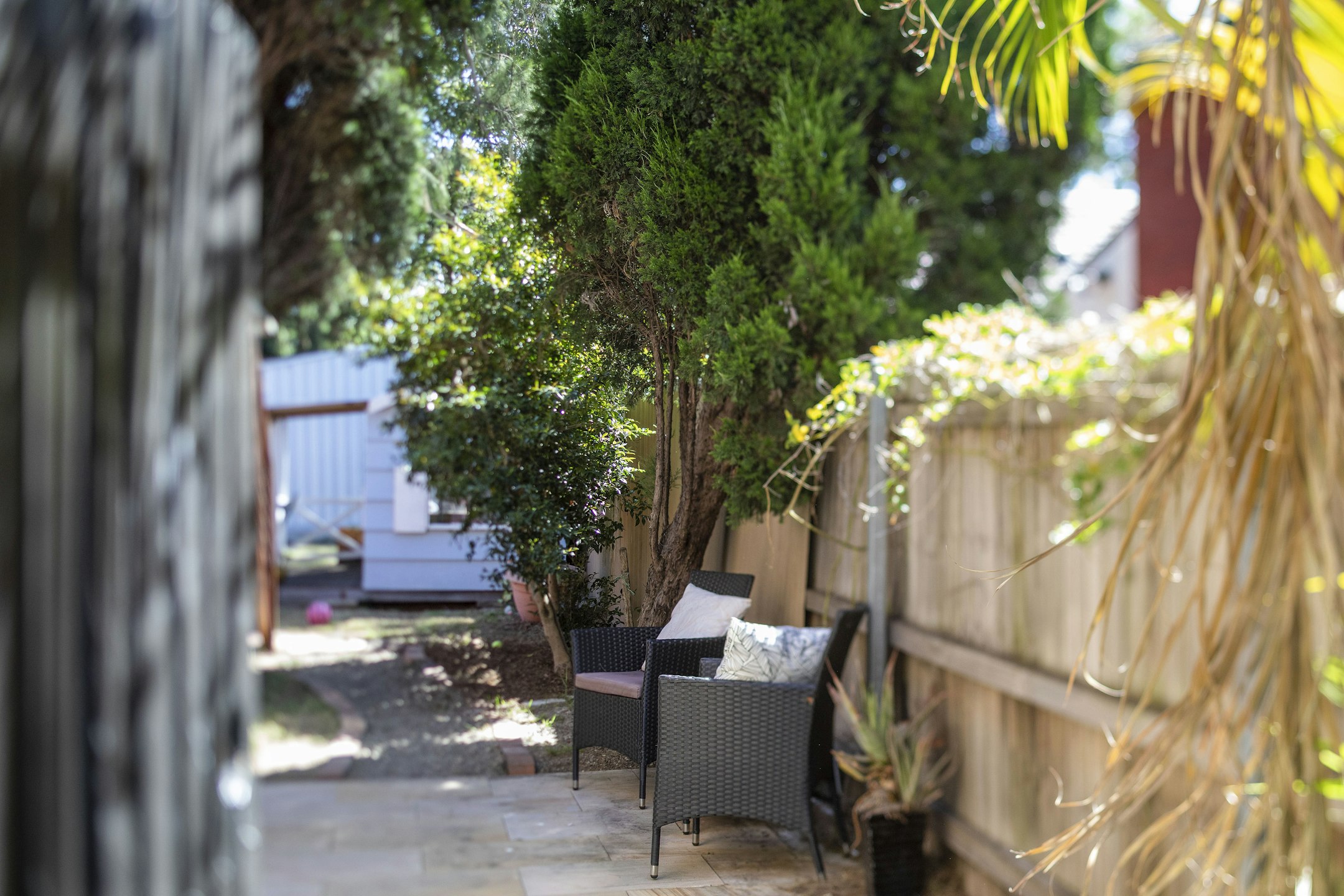 backyard
