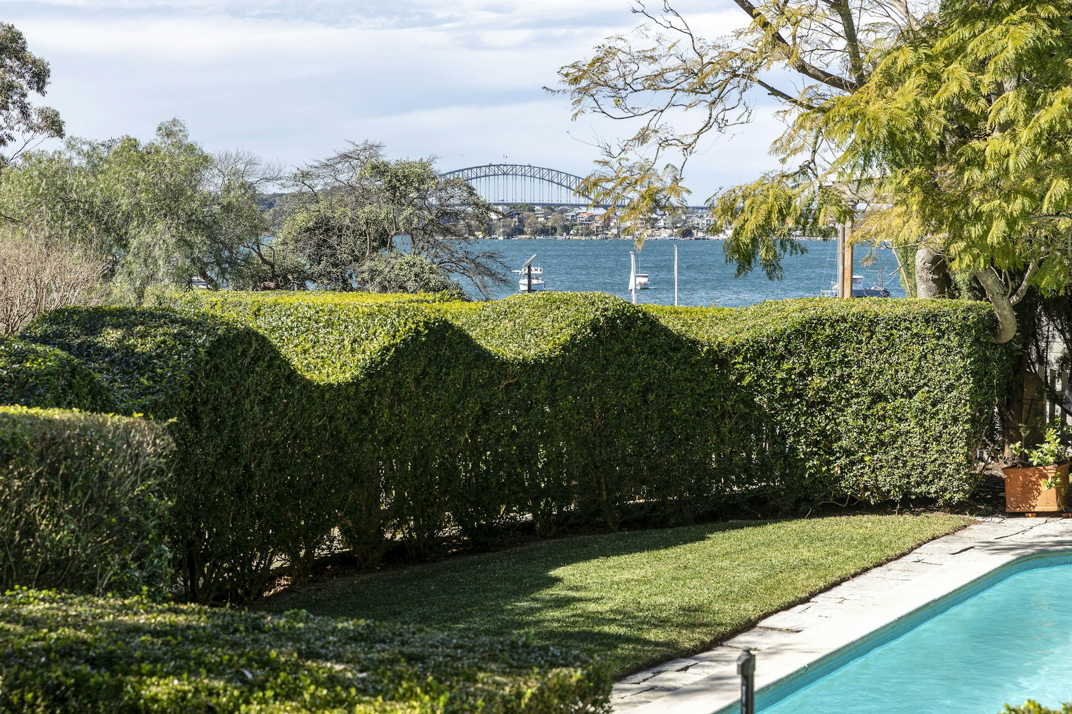 garden