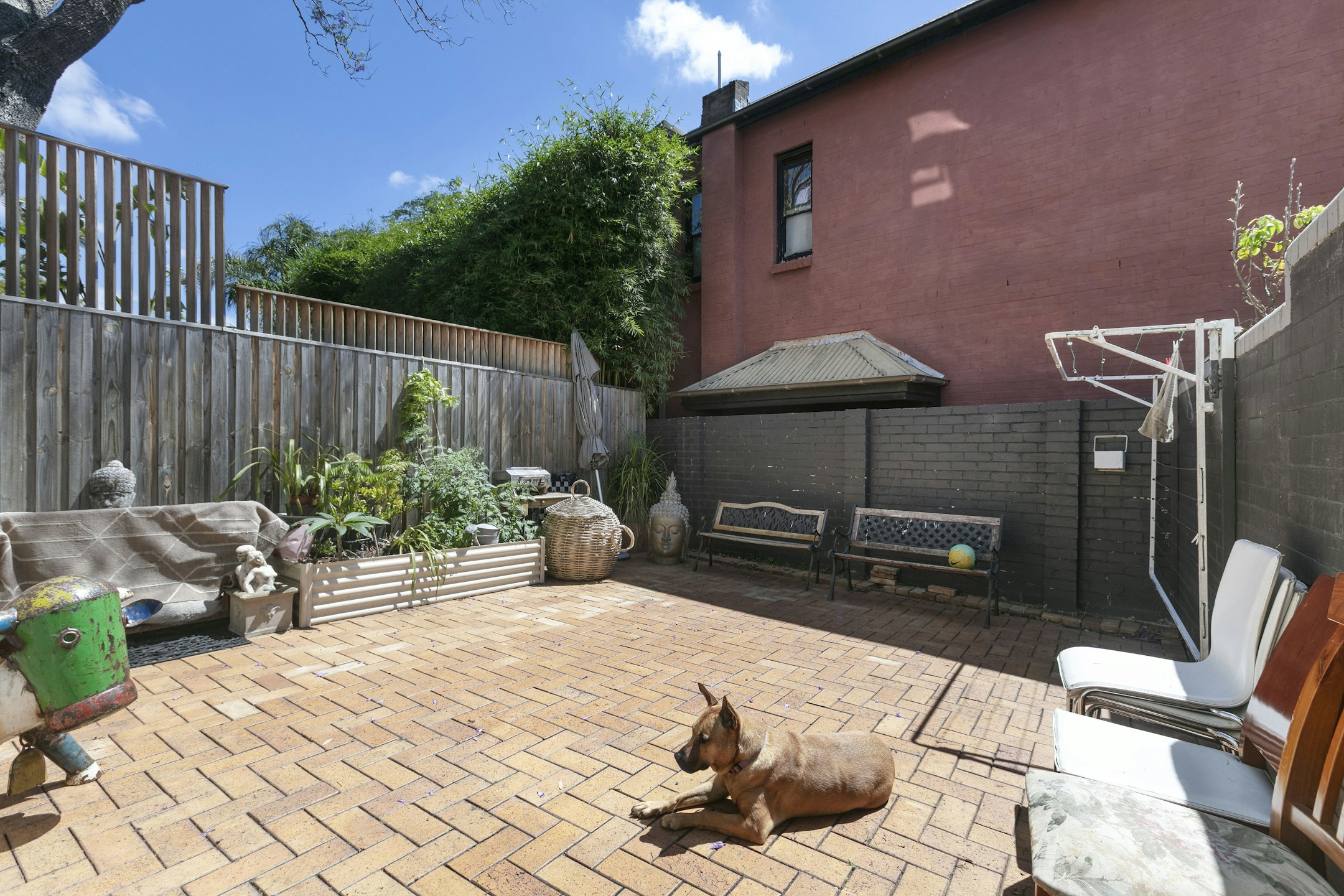 backyard