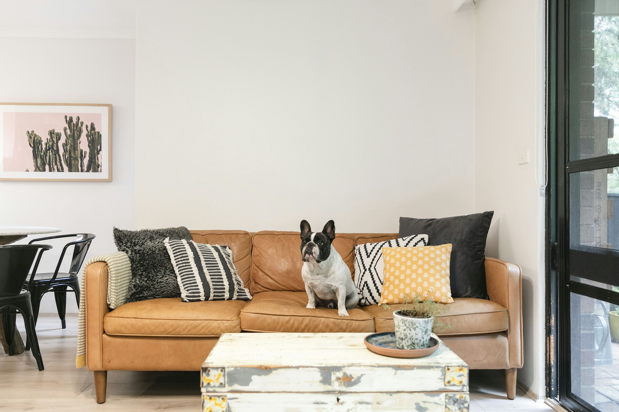 couch