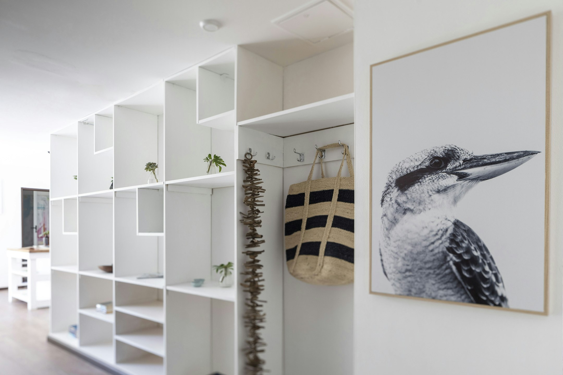 shelf