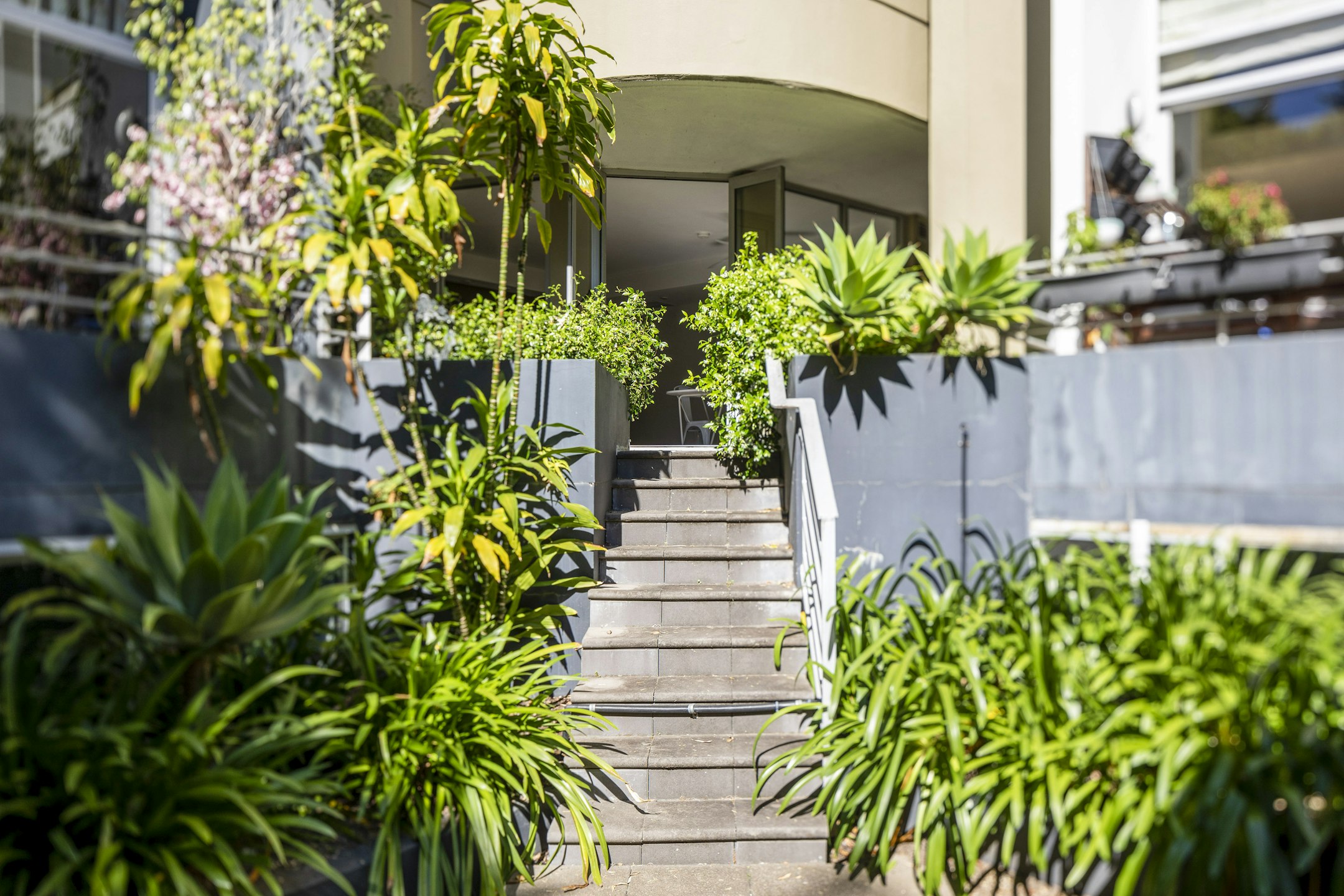 garden